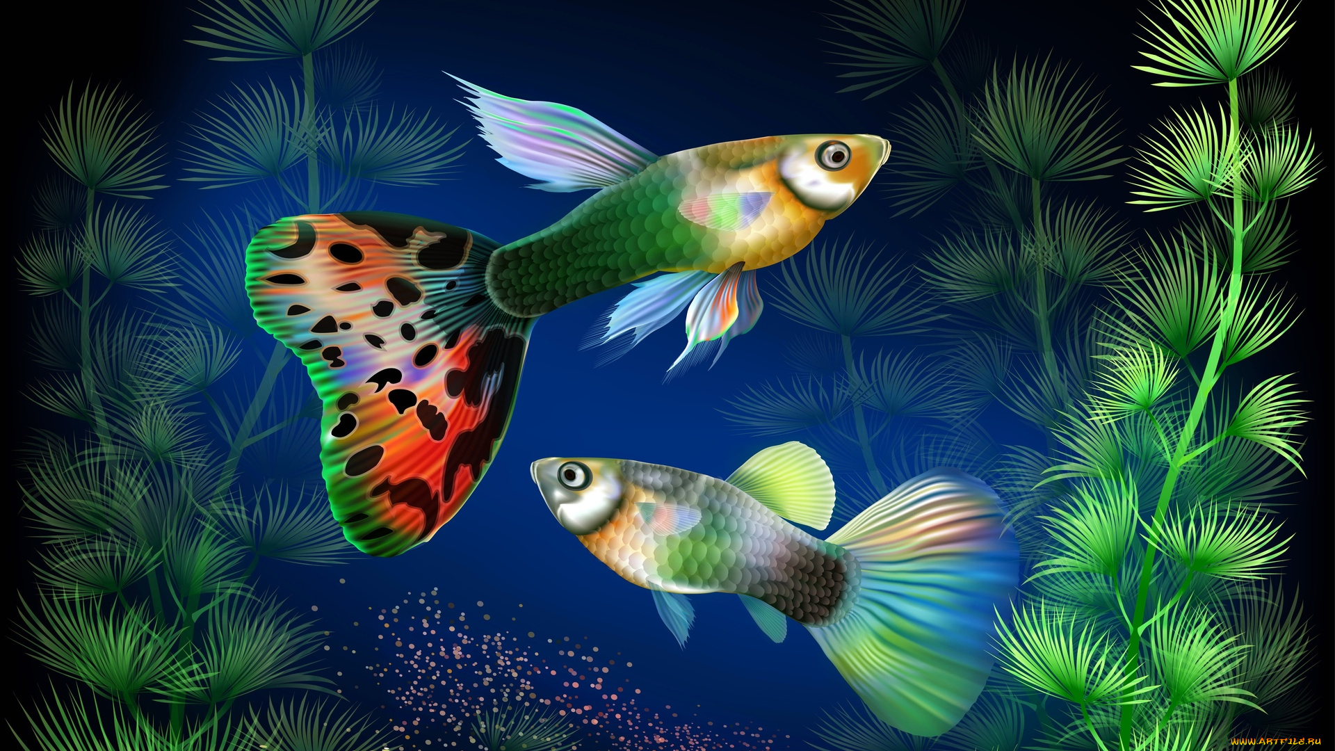 рисованное, животные, , рыбы, растения, рыбы, аквариум