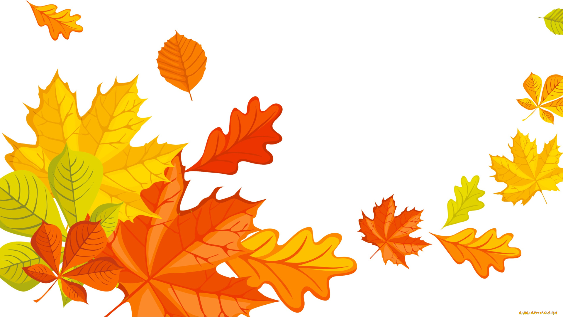 векторная, графика, природа, , nature, осень, листья, фон