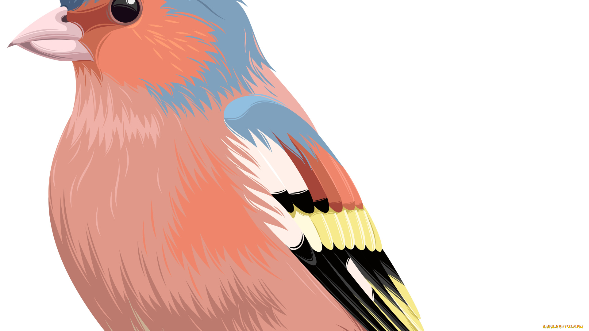 векторная, графика, животные, , animals, птица, фон