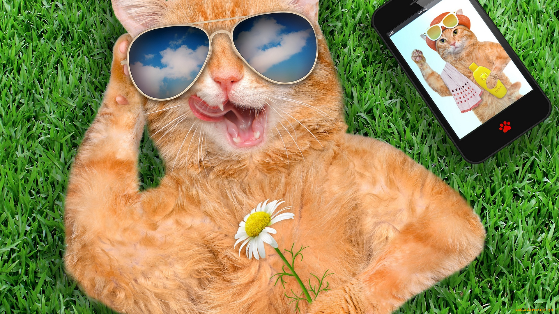 юмор, и, приколы, трава, цветок, очки, смартфон, рыжий