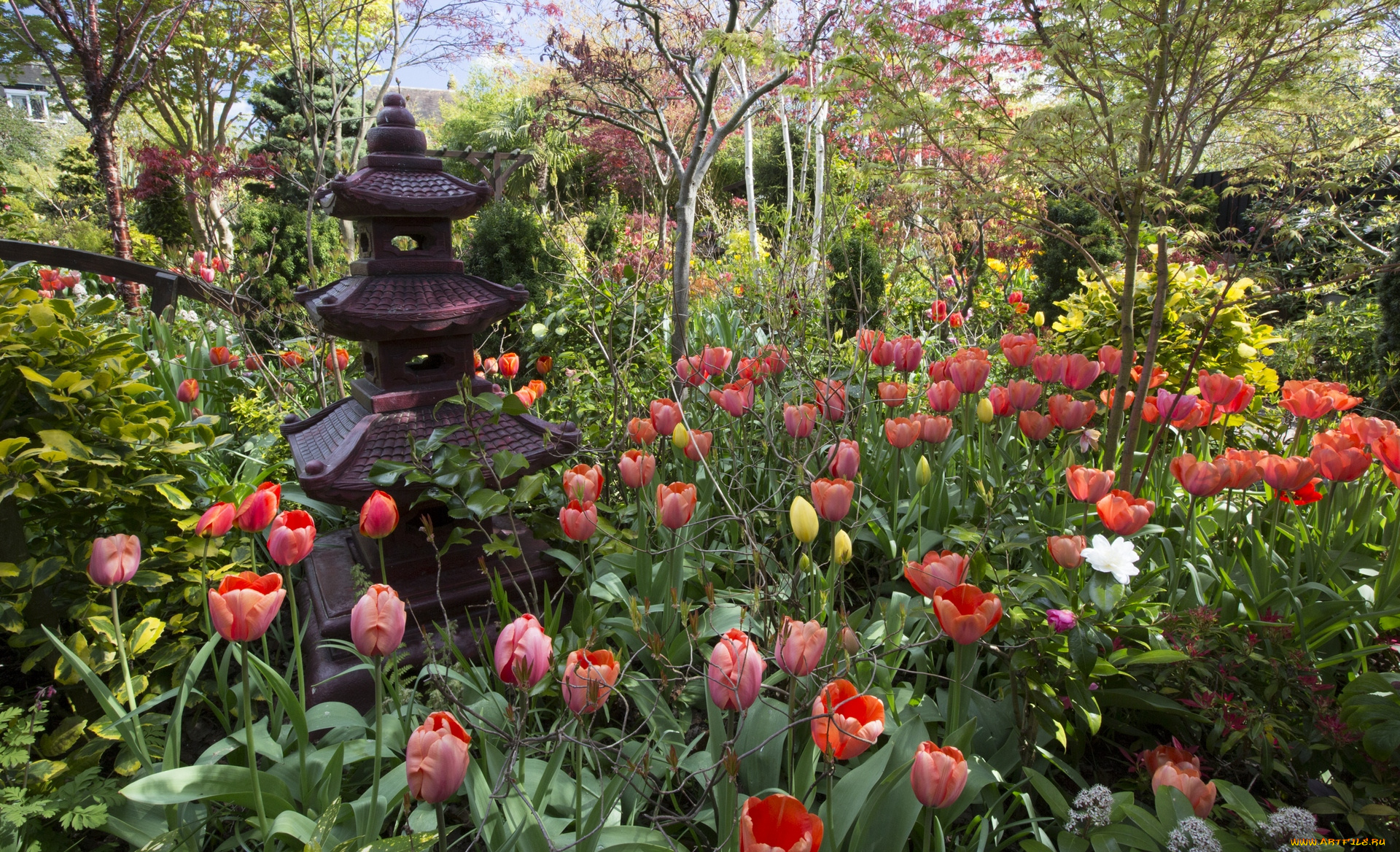 англия, разное, садовые, и, парковые, скульптуры, деревья, тюльпаны