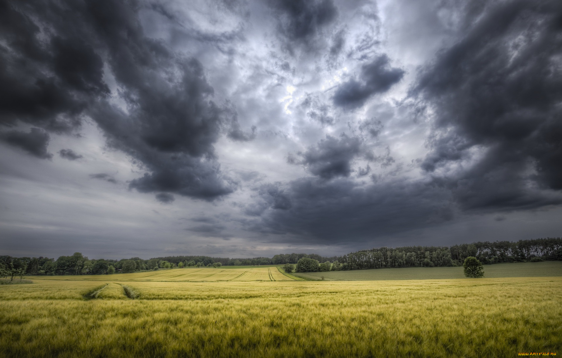 природа, поля, облака, поле