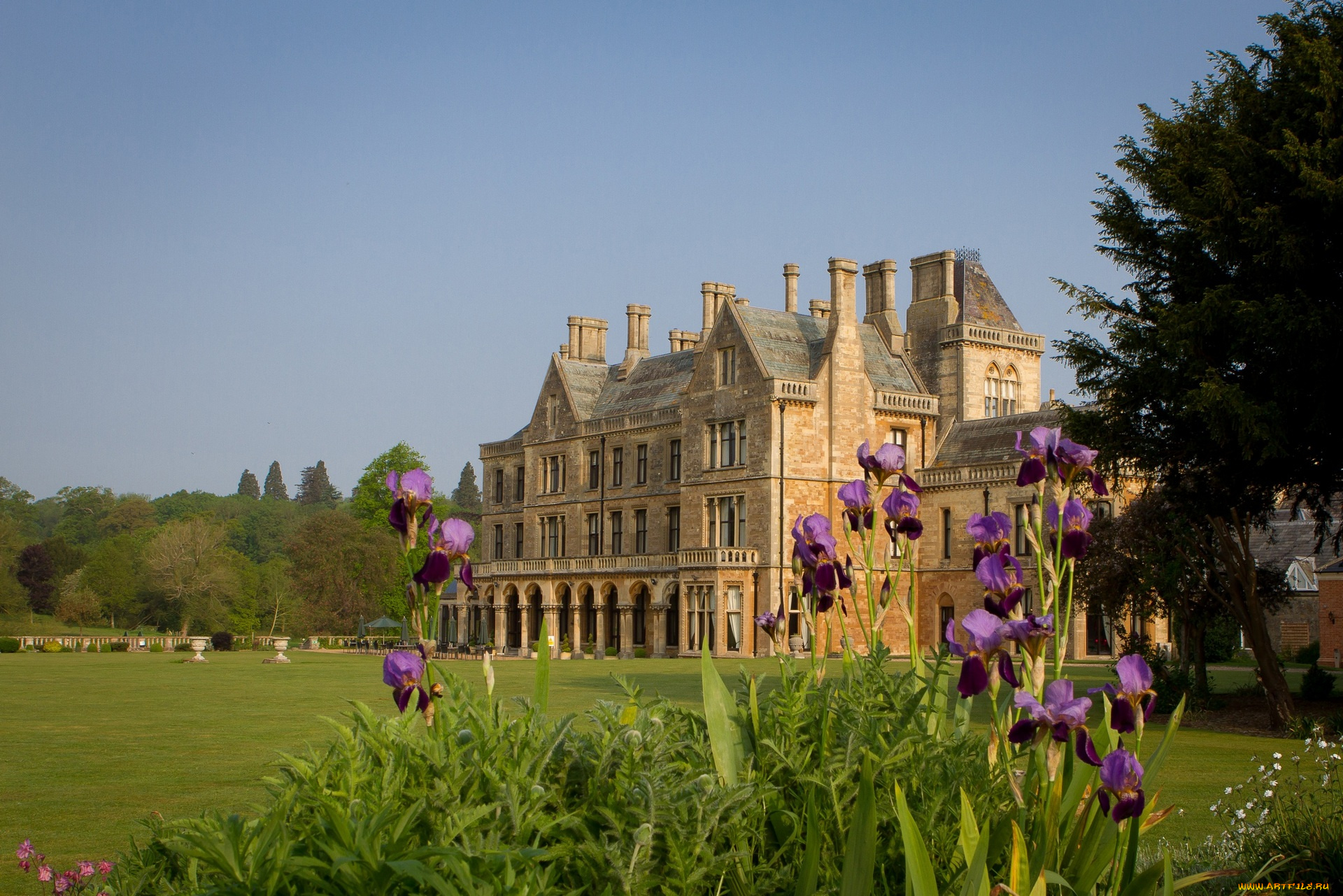 города, -, дворцы, , замки, , крепости, трава, ирис, деревья