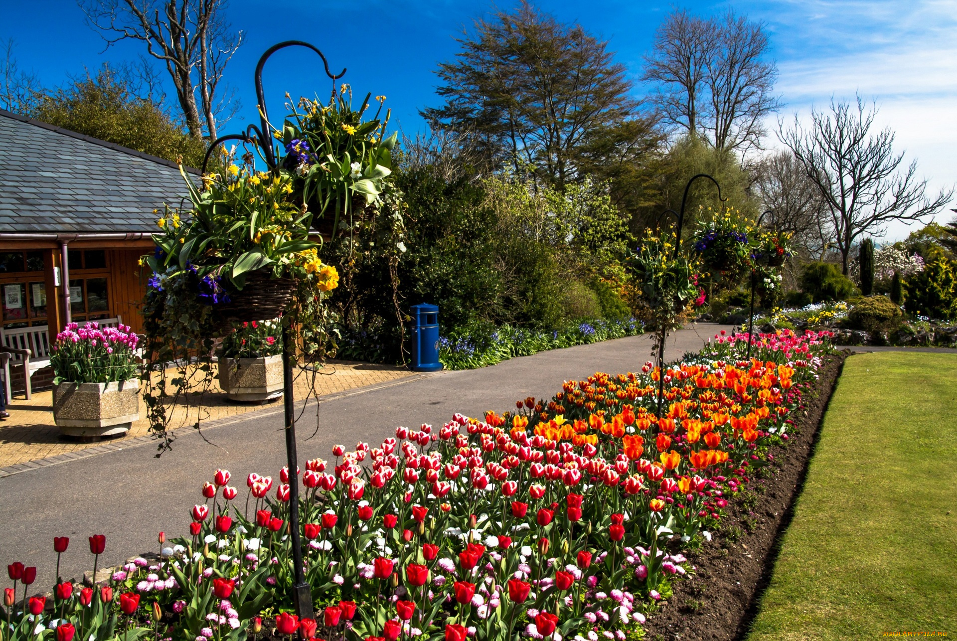 цветы, разные, вместе, деревья, здание, трава