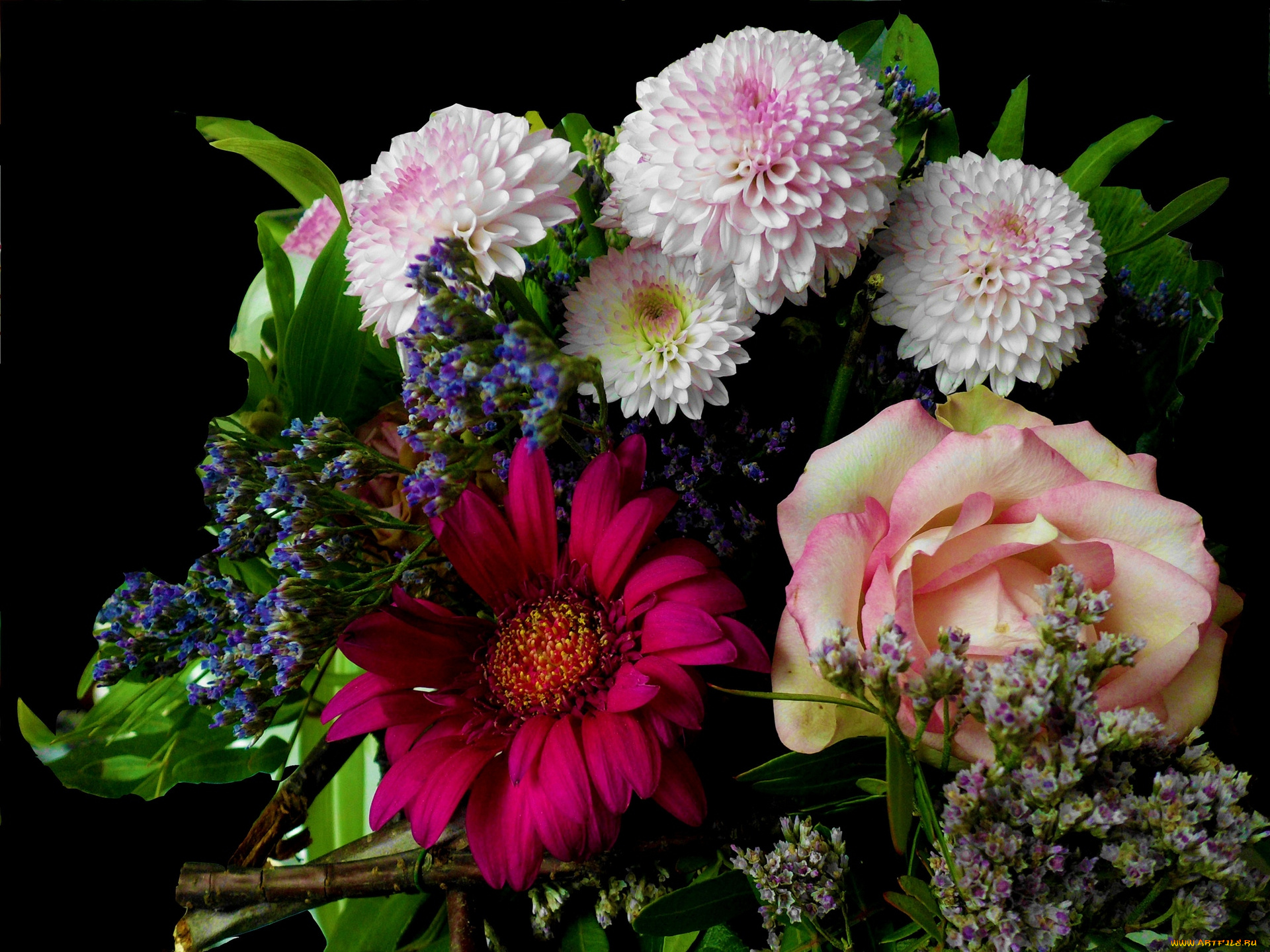 цветы, букеты, , композиции, черный, фон