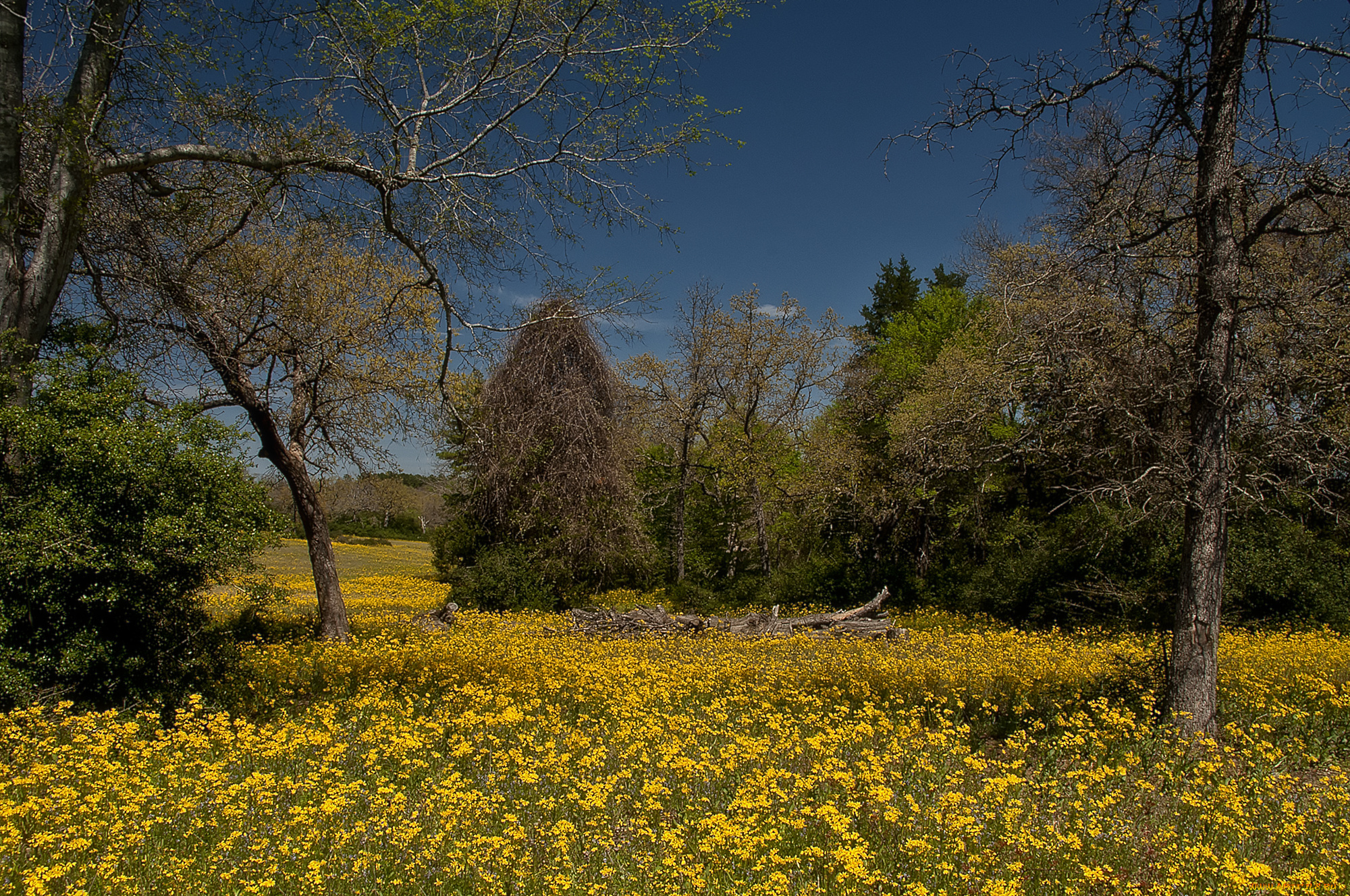природа, пейзажи, простор