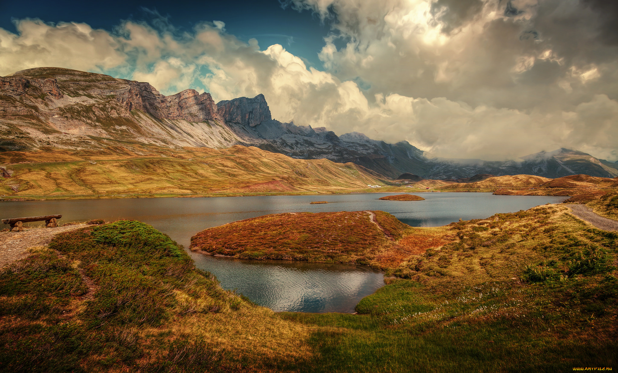 природа, реки, озера, река, лес