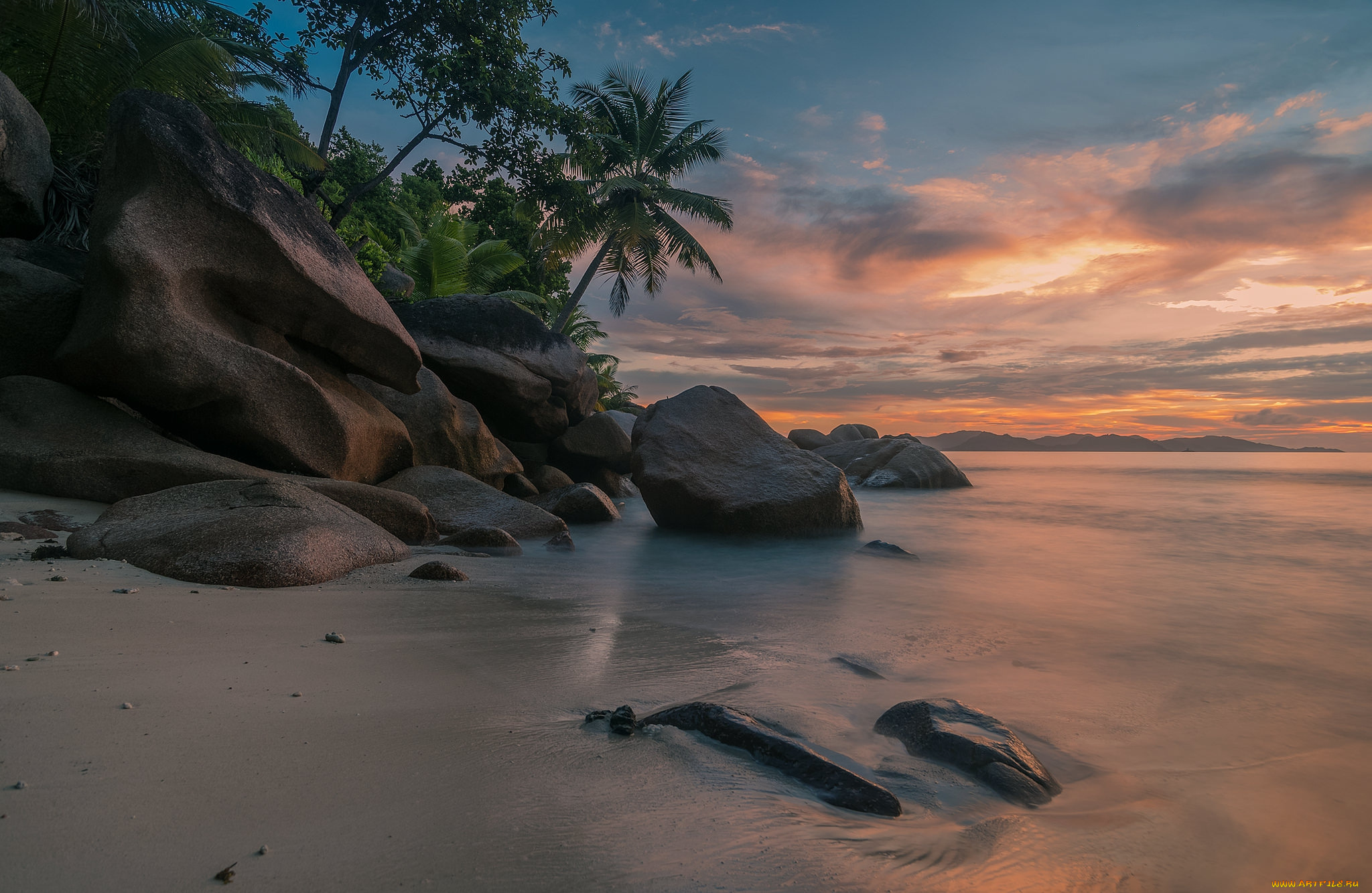 природа, тропики, курорт