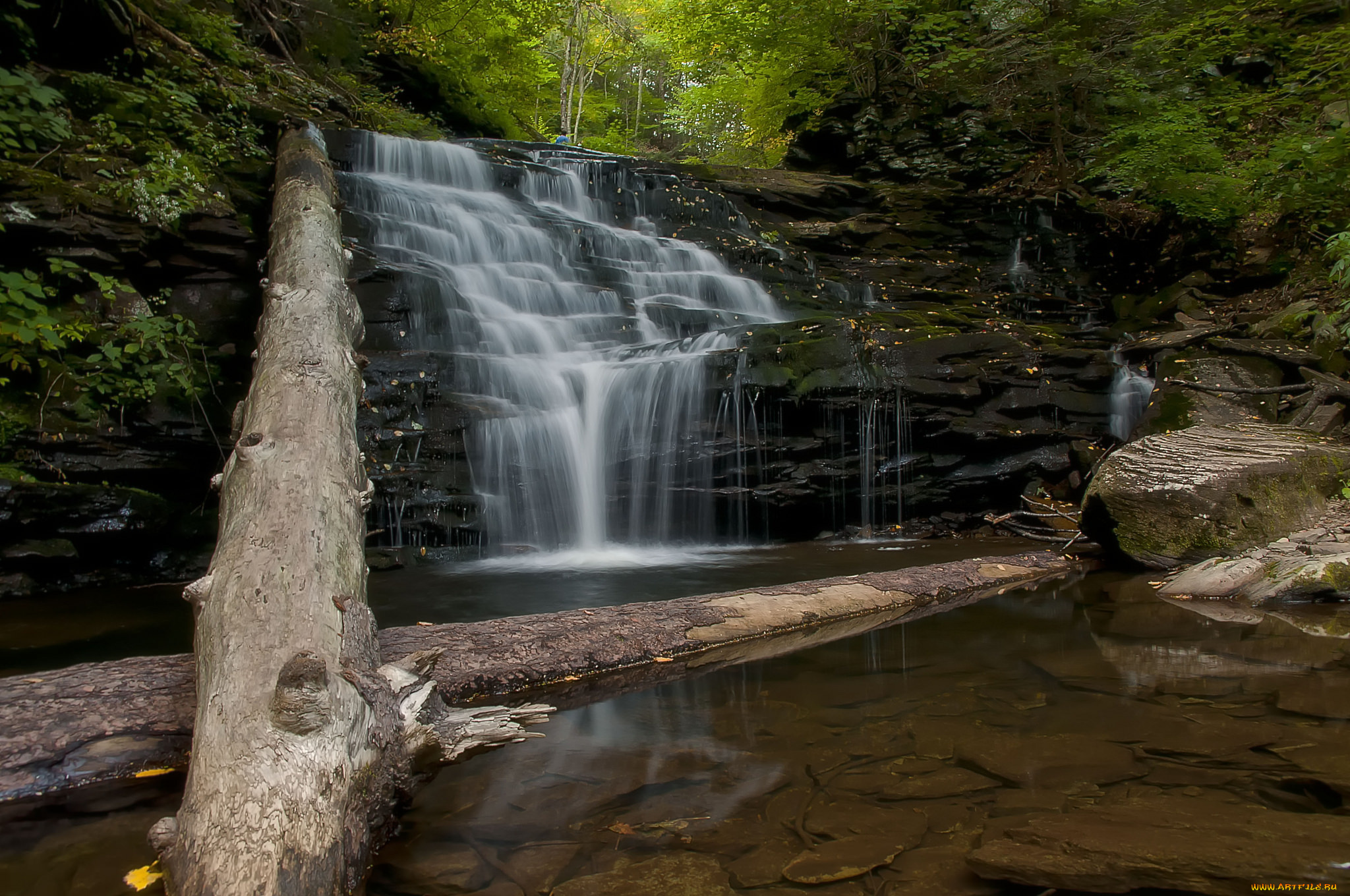 природа, водопады, водопад, река, лес
