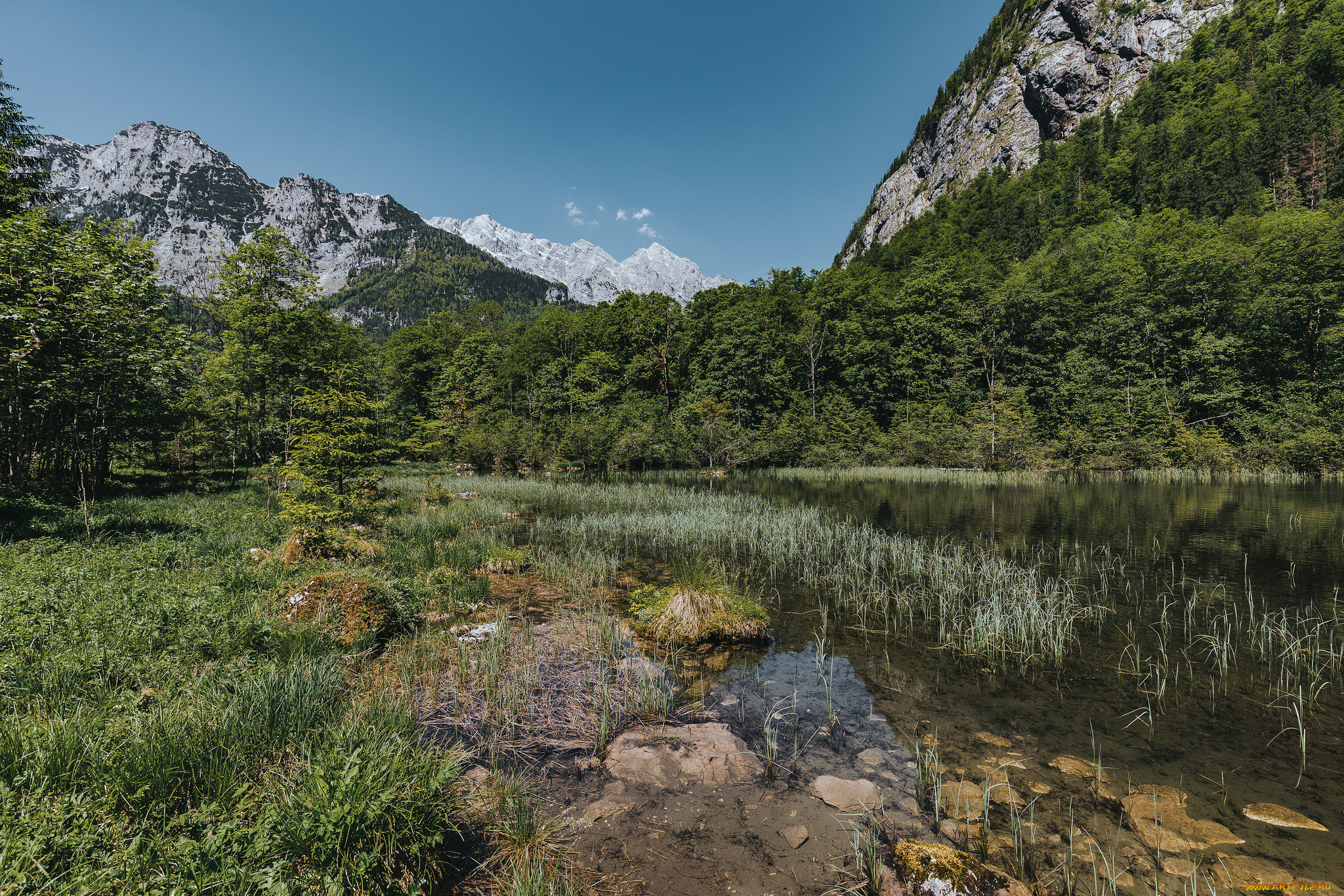 природа, реки, озера, река, лес