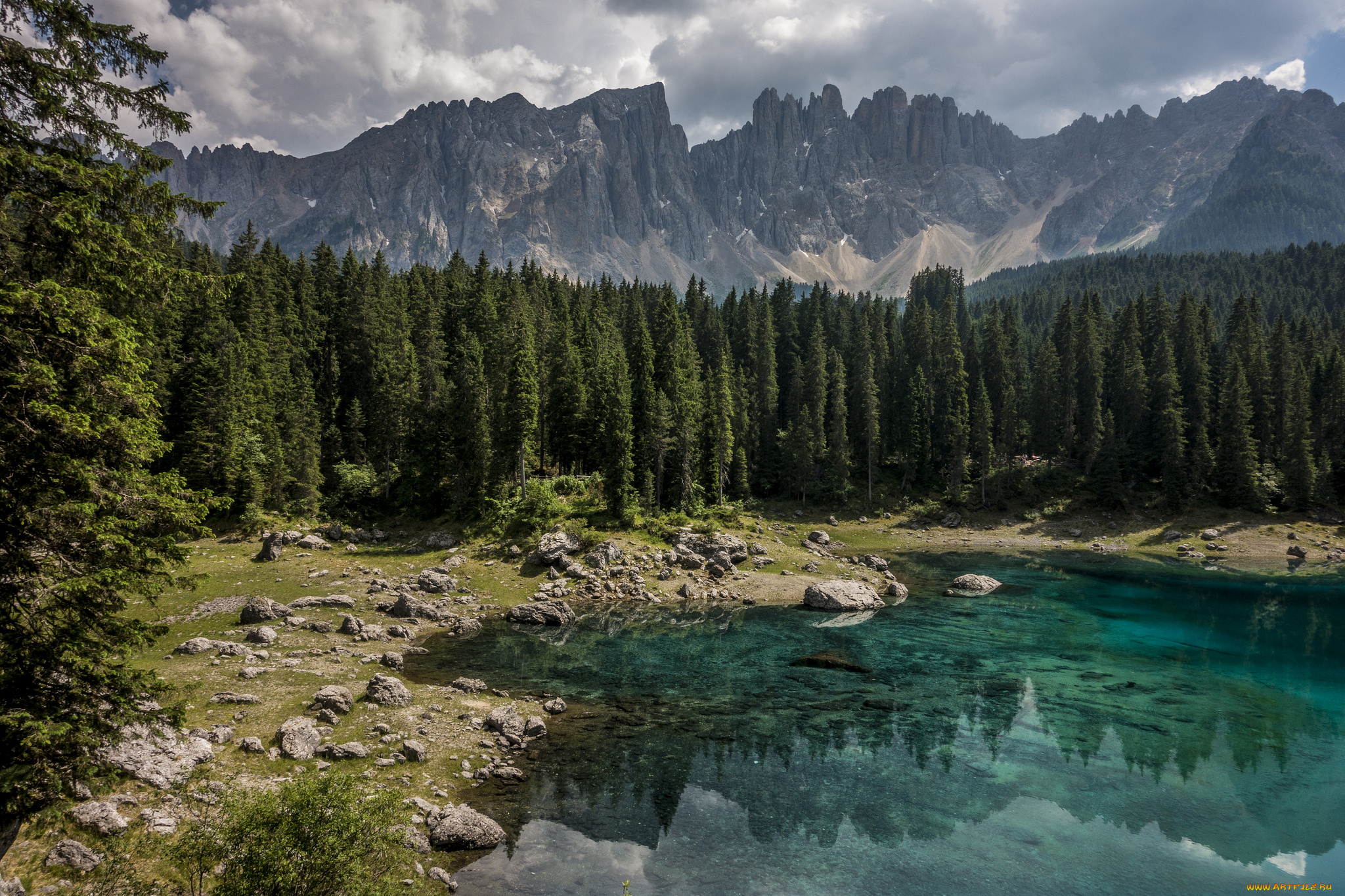 природа, реки, озера, река, лес