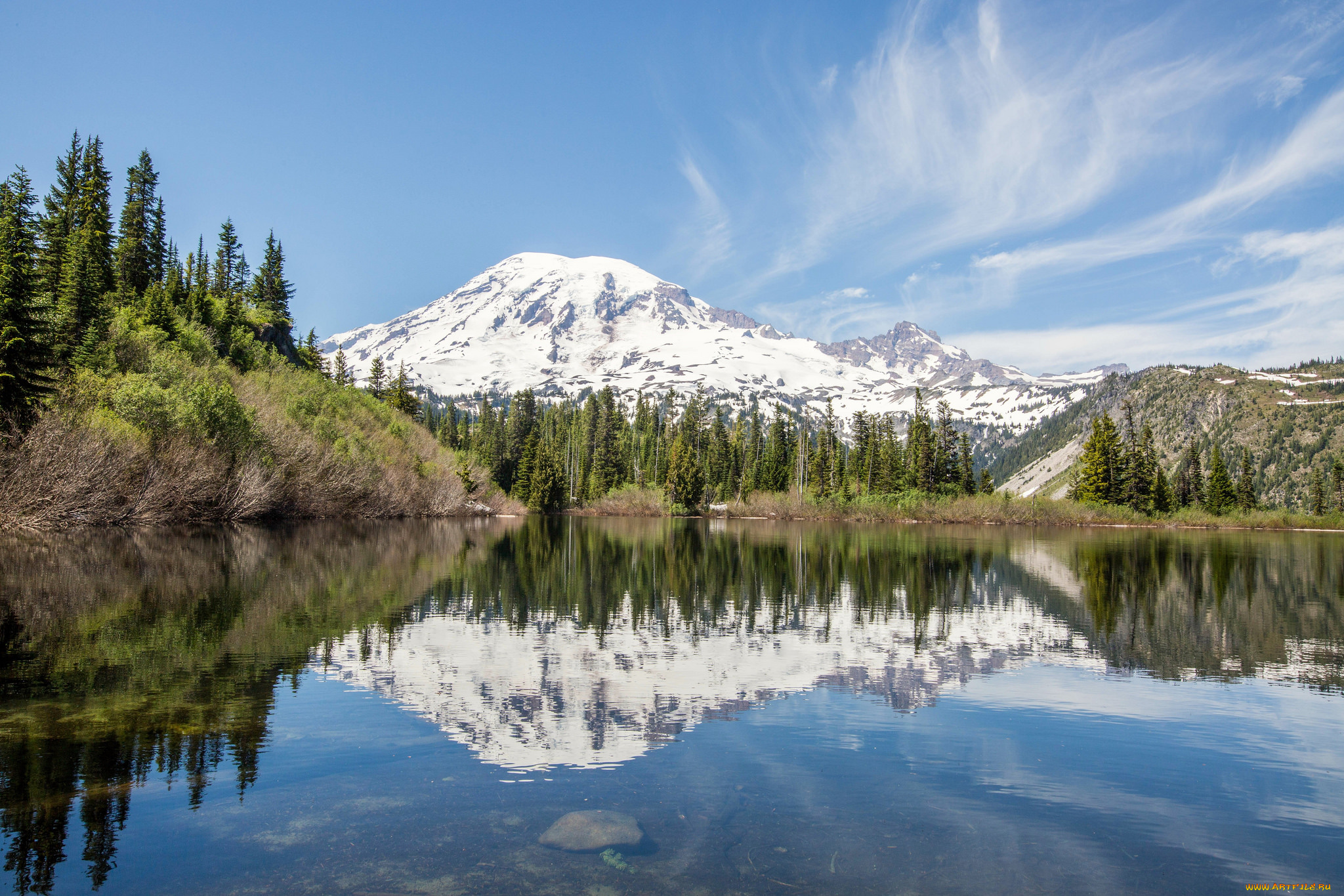 природа, реки, озера, река, лес