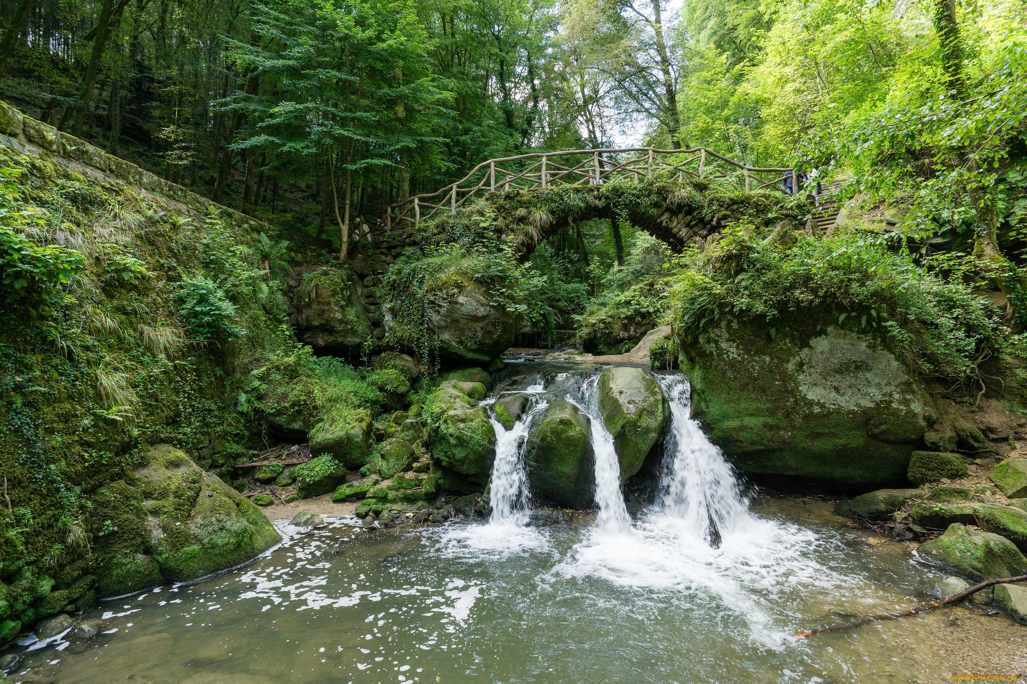 природа, водопады, лес, водопад, река