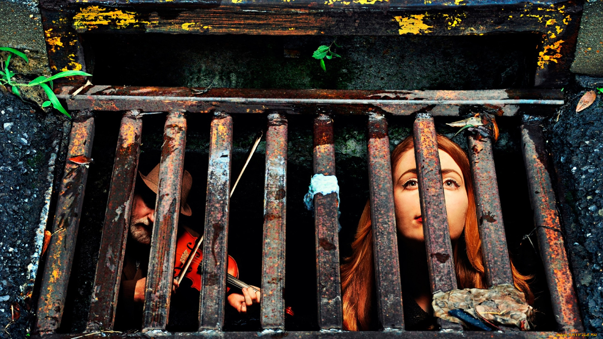 музыка, -другое, взгляд, девушка, лицо, мужчина, скрипка, решетка