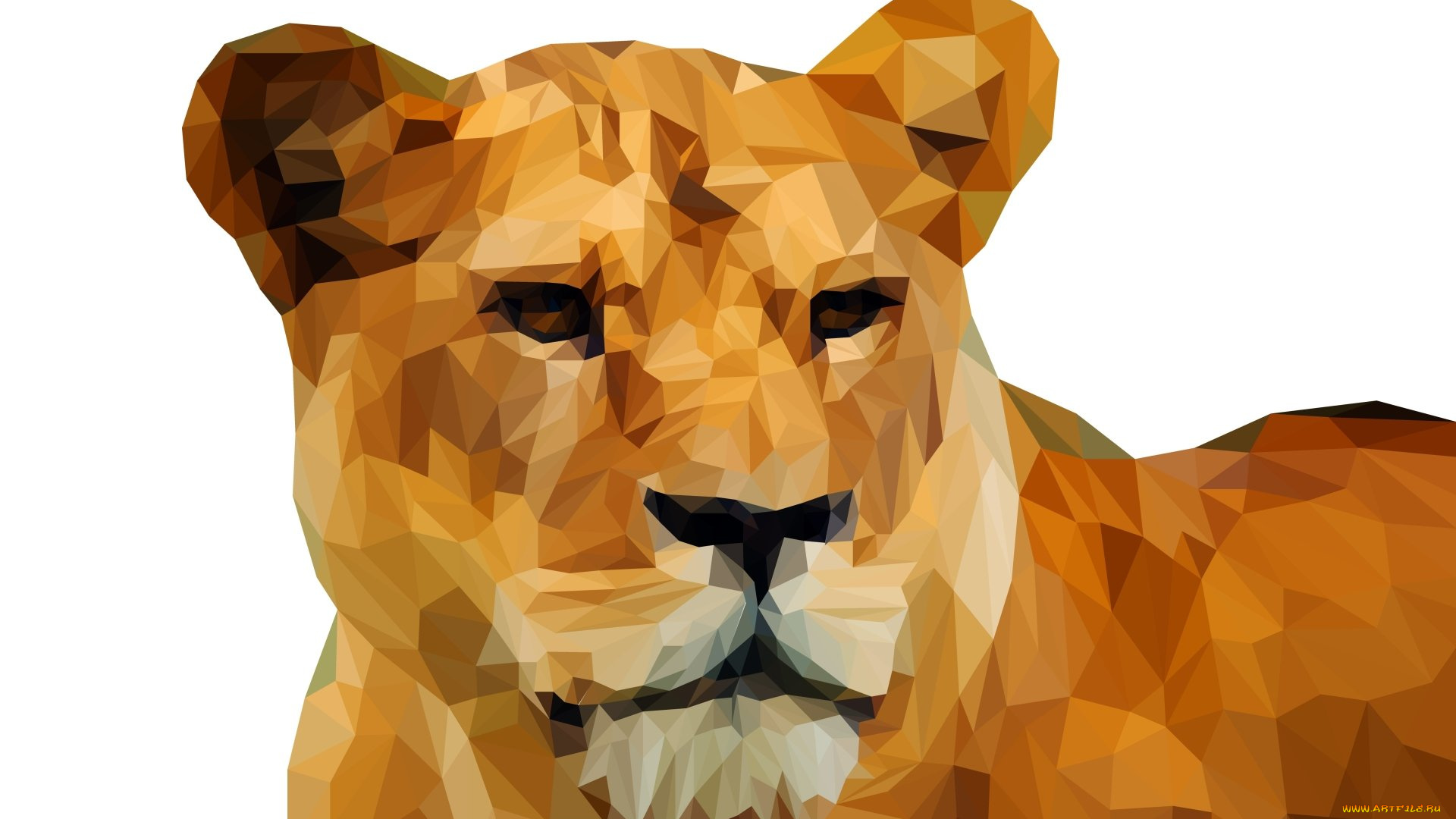 векторная, графика, мультфильмы, , cartoons, фон, лев