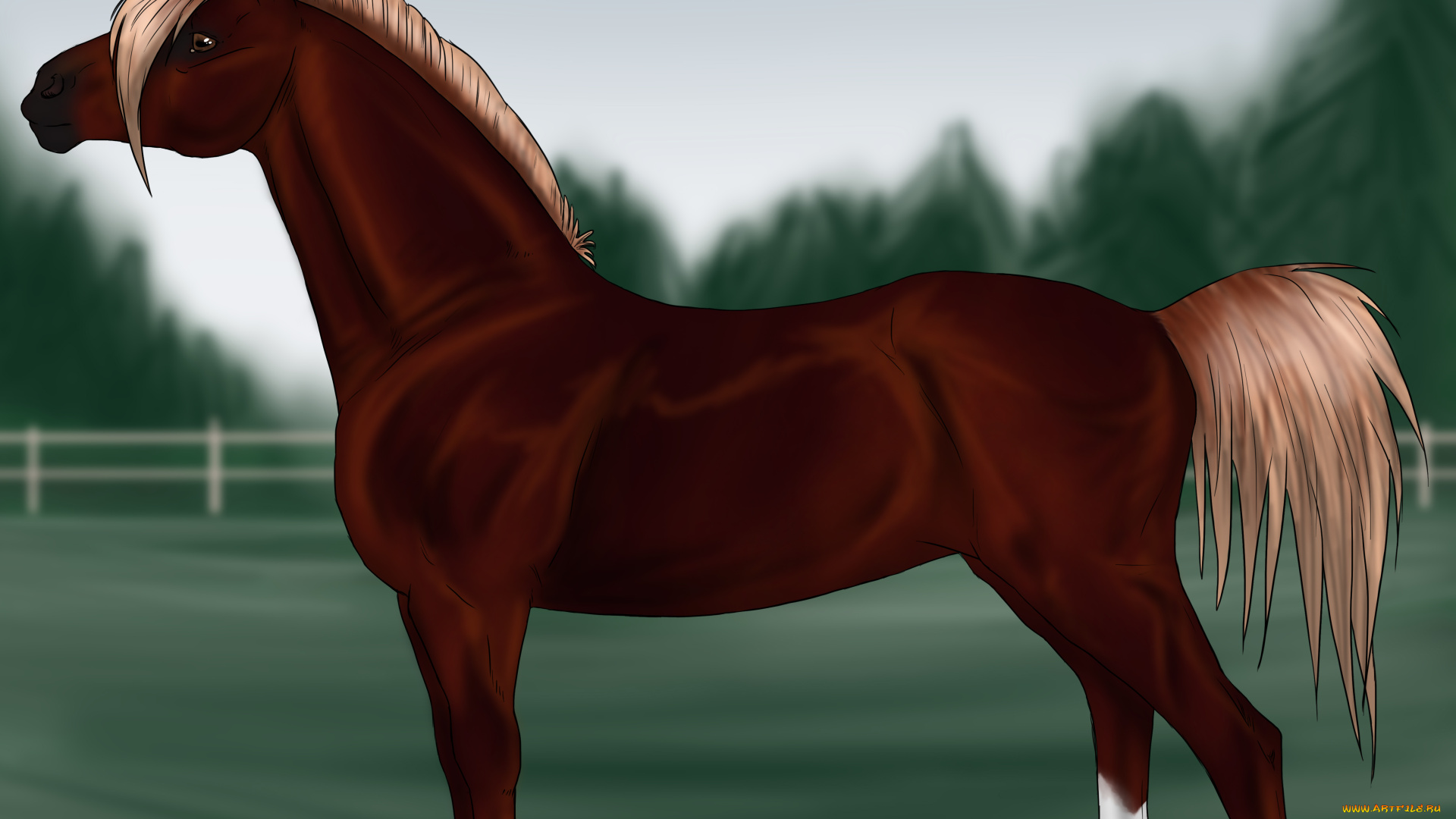 векторная, графика, животные, , animals, фон, лошадь