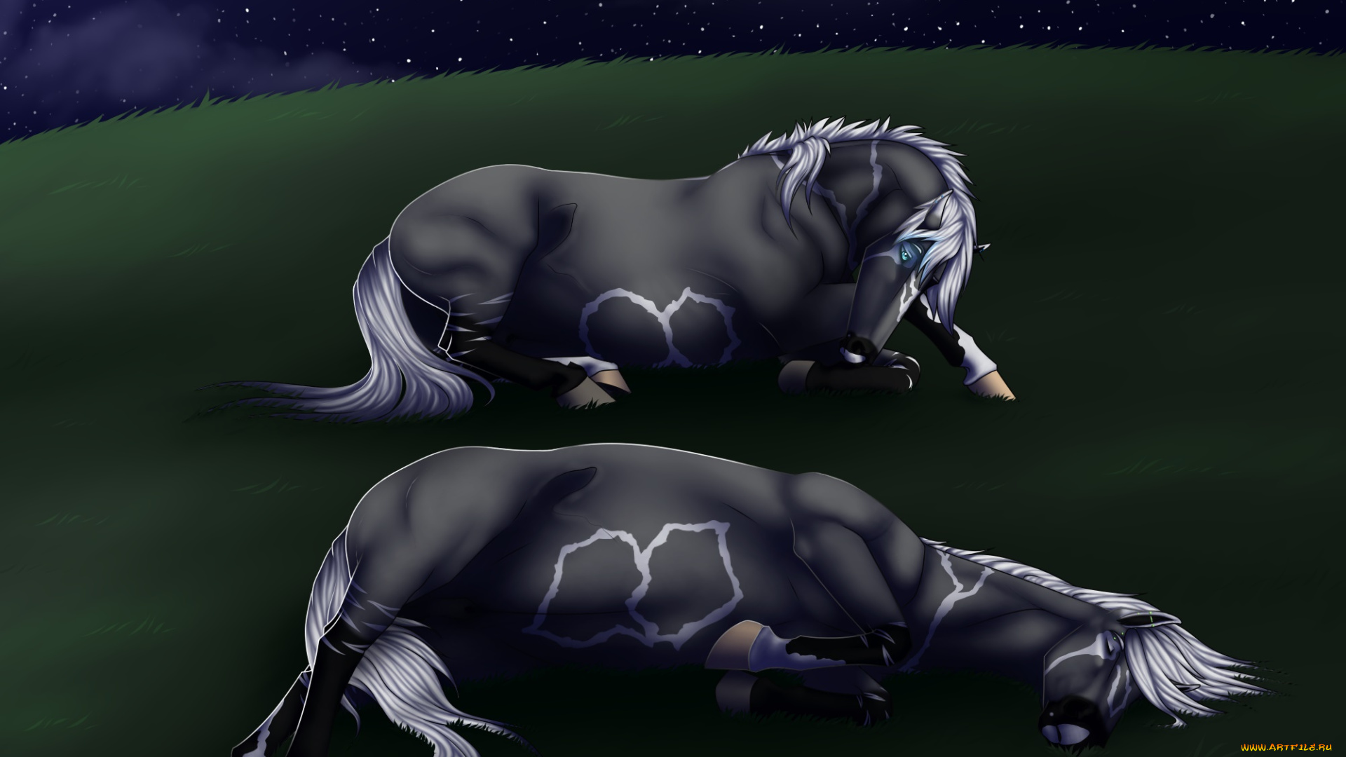 векторная, графика, животные, , animals, фон, лошадь