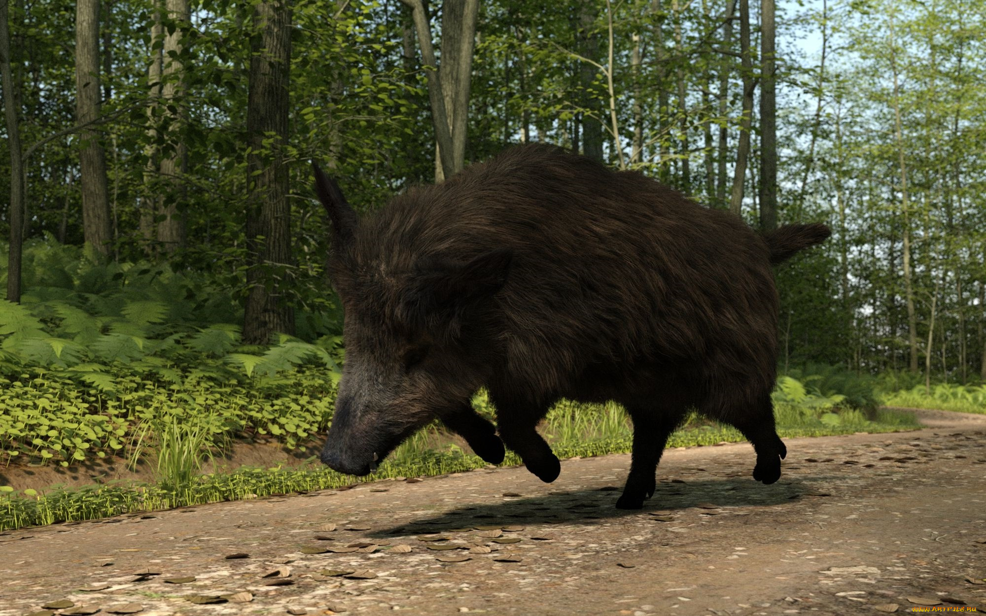 3д, графика, животные, , animals, кабан