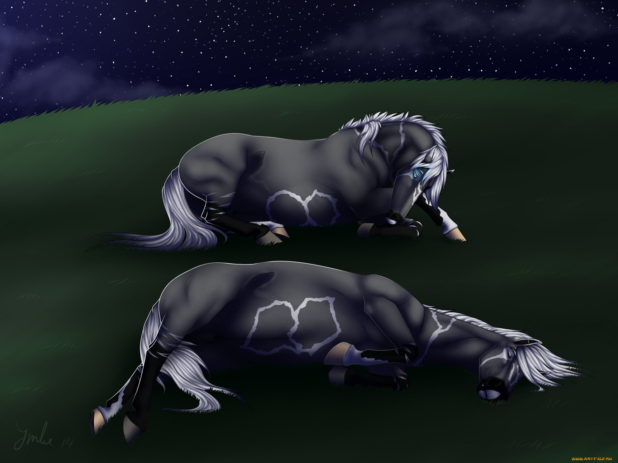 векторная, графика, животные, , animals, фон, лошадь