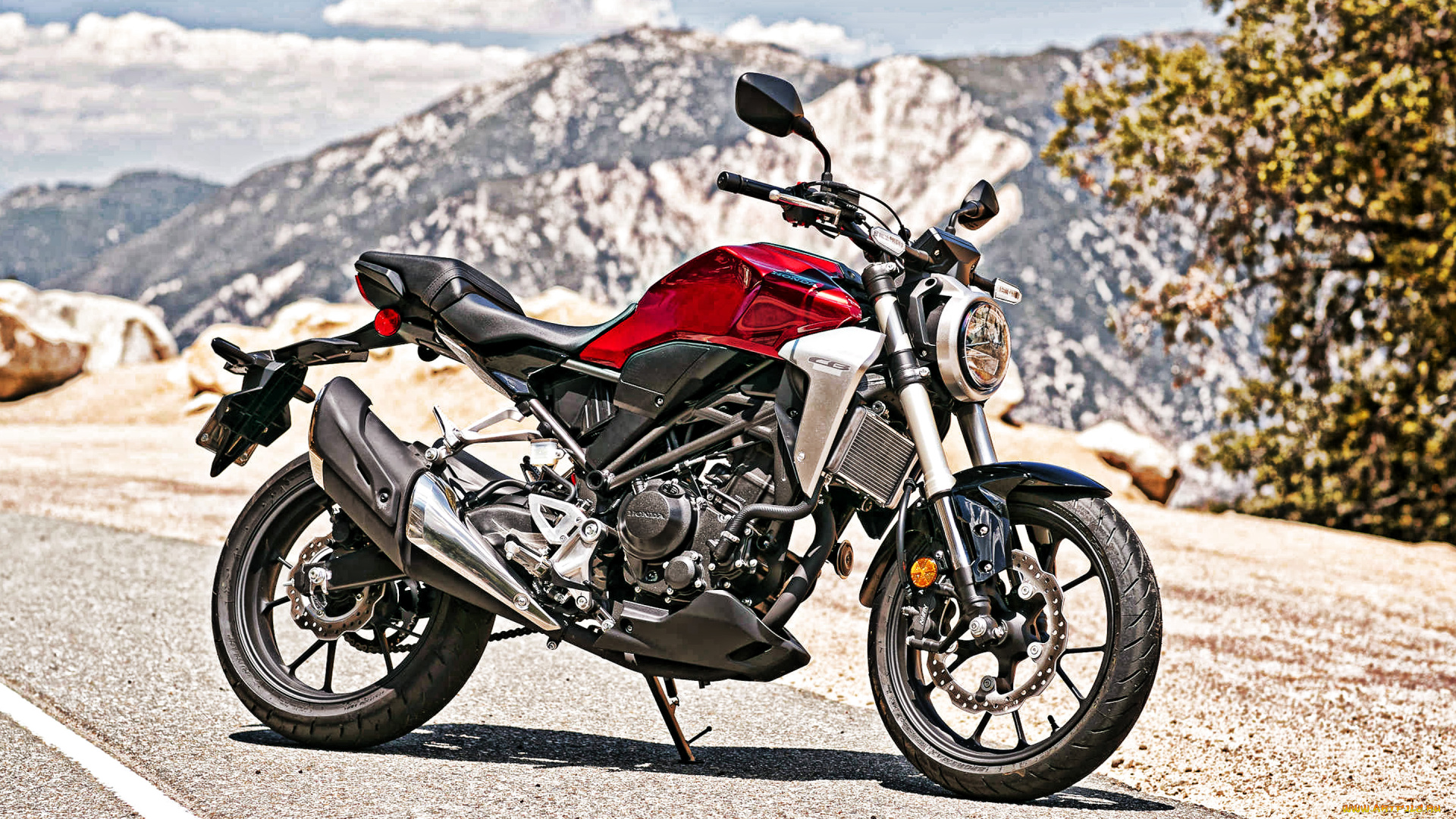 2019, honda, cb300r, мотоциклы, honda, красный, новый, вид, сбоку, cb300r, 2019, японские, citybike