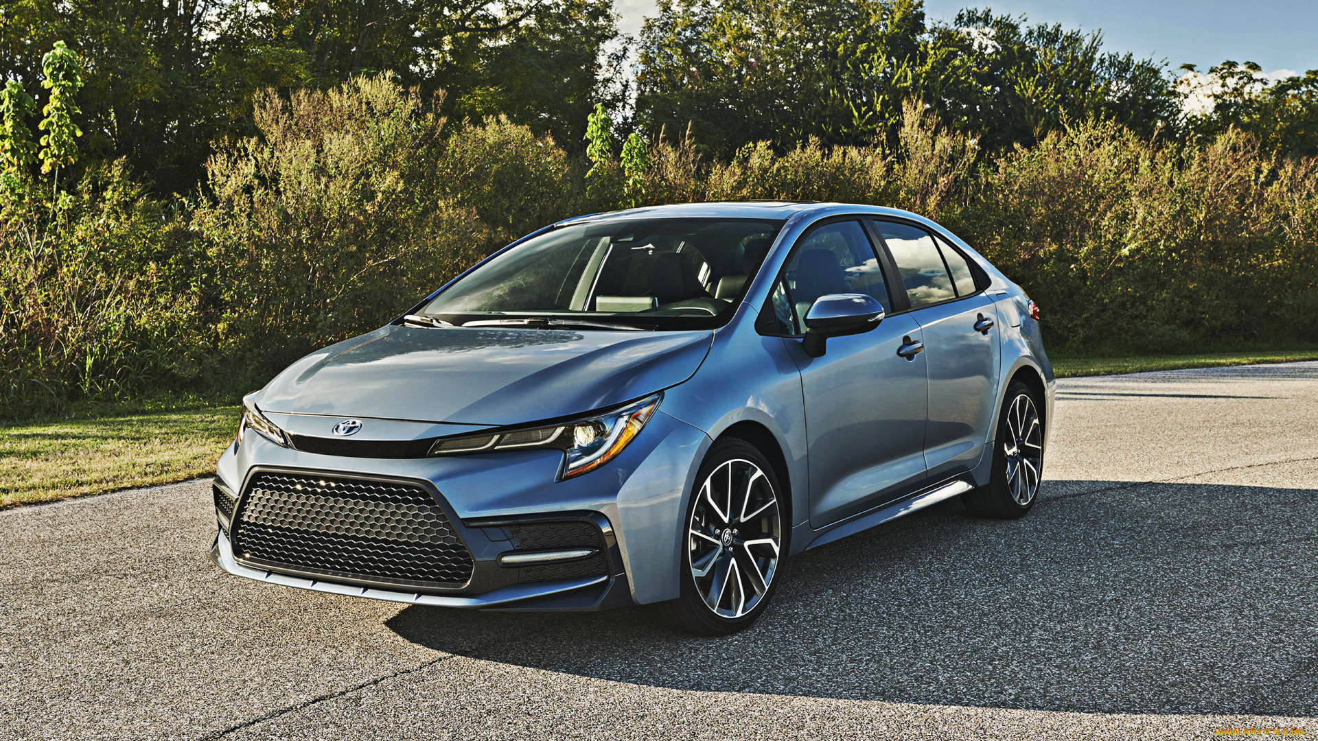 2020, toyota, corolla, автомобили, toyota, вид, спереди, экстерьер, серебристая, японские, новая, модель, седан