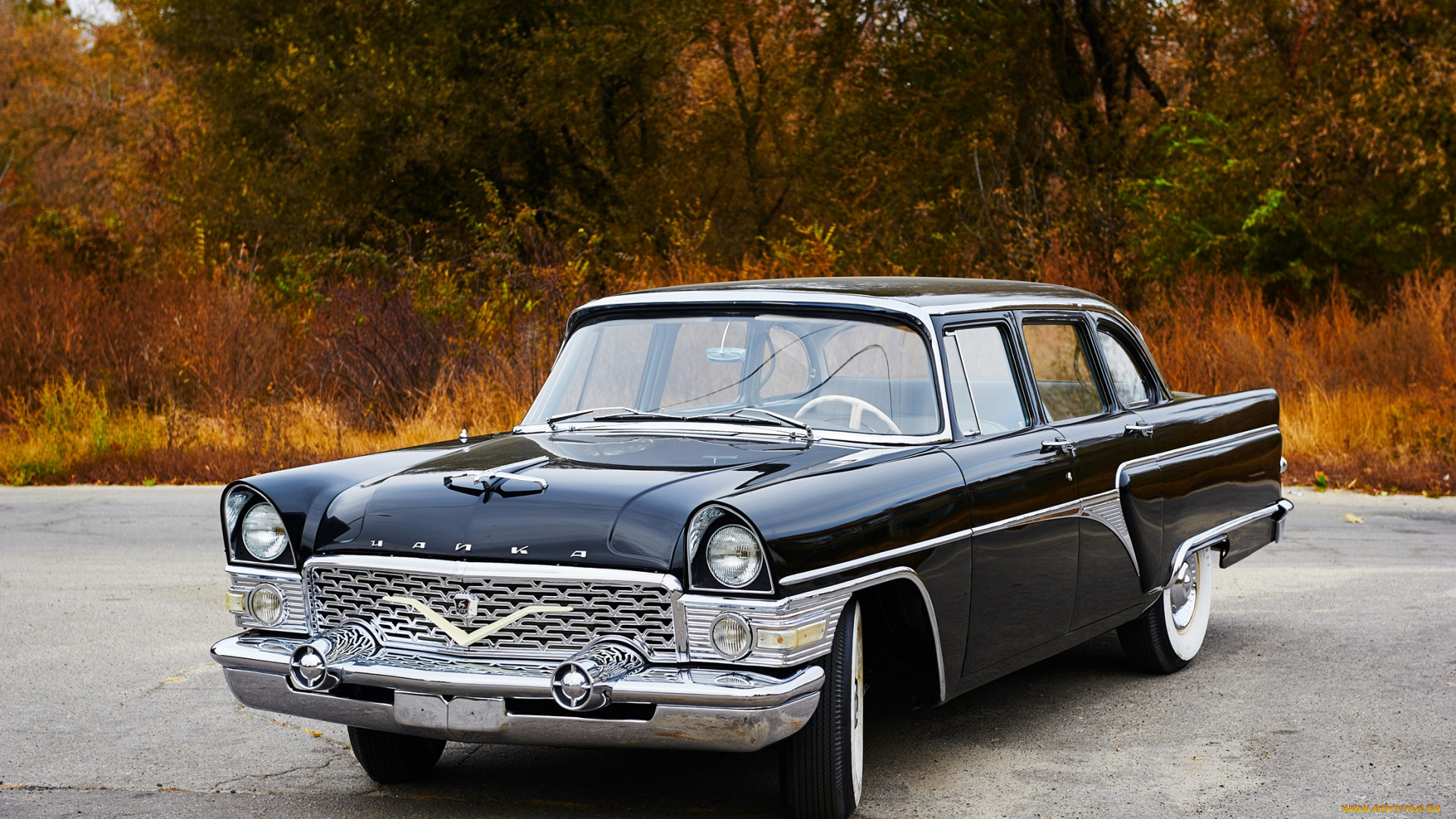 газ-, 13, чайка, автомобили, газ, чёрный, классика, ретро, автомобиль, чайка, газ-, 13