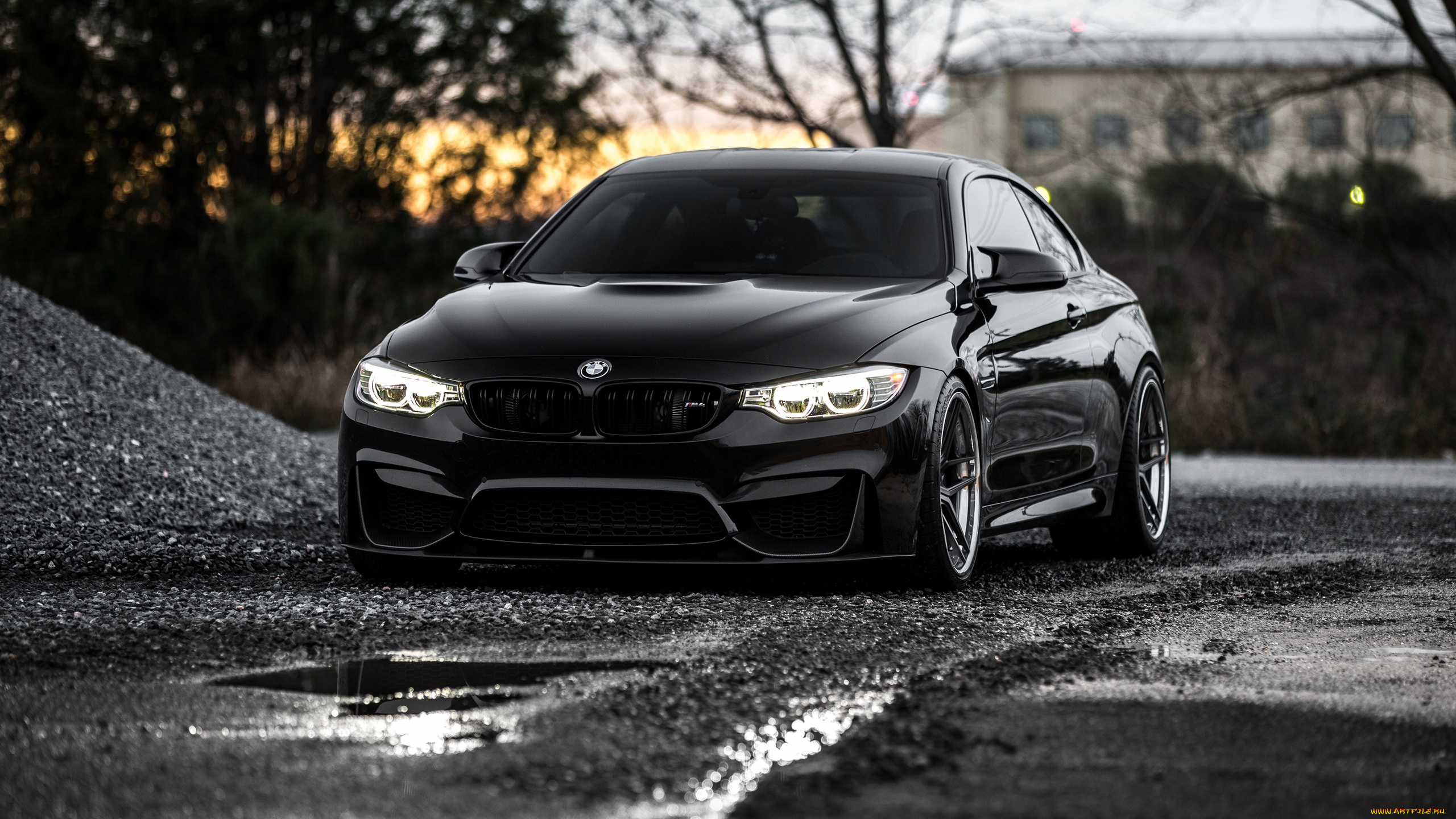 автомобили, bmw, m4