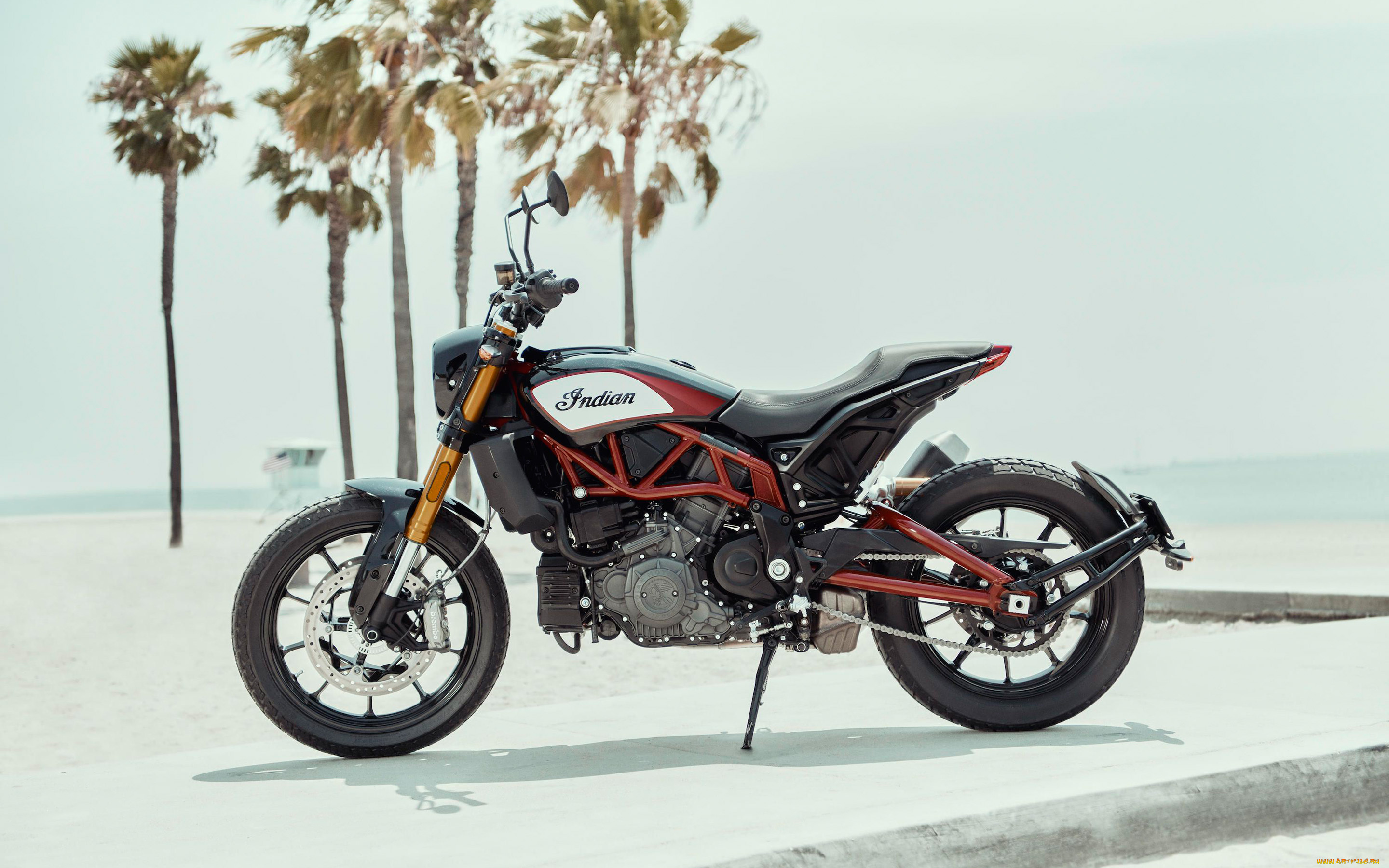 2019, indian, ftr1200, мотоциклы, indian, 2019, ftr1200, американские, вид, сбоку