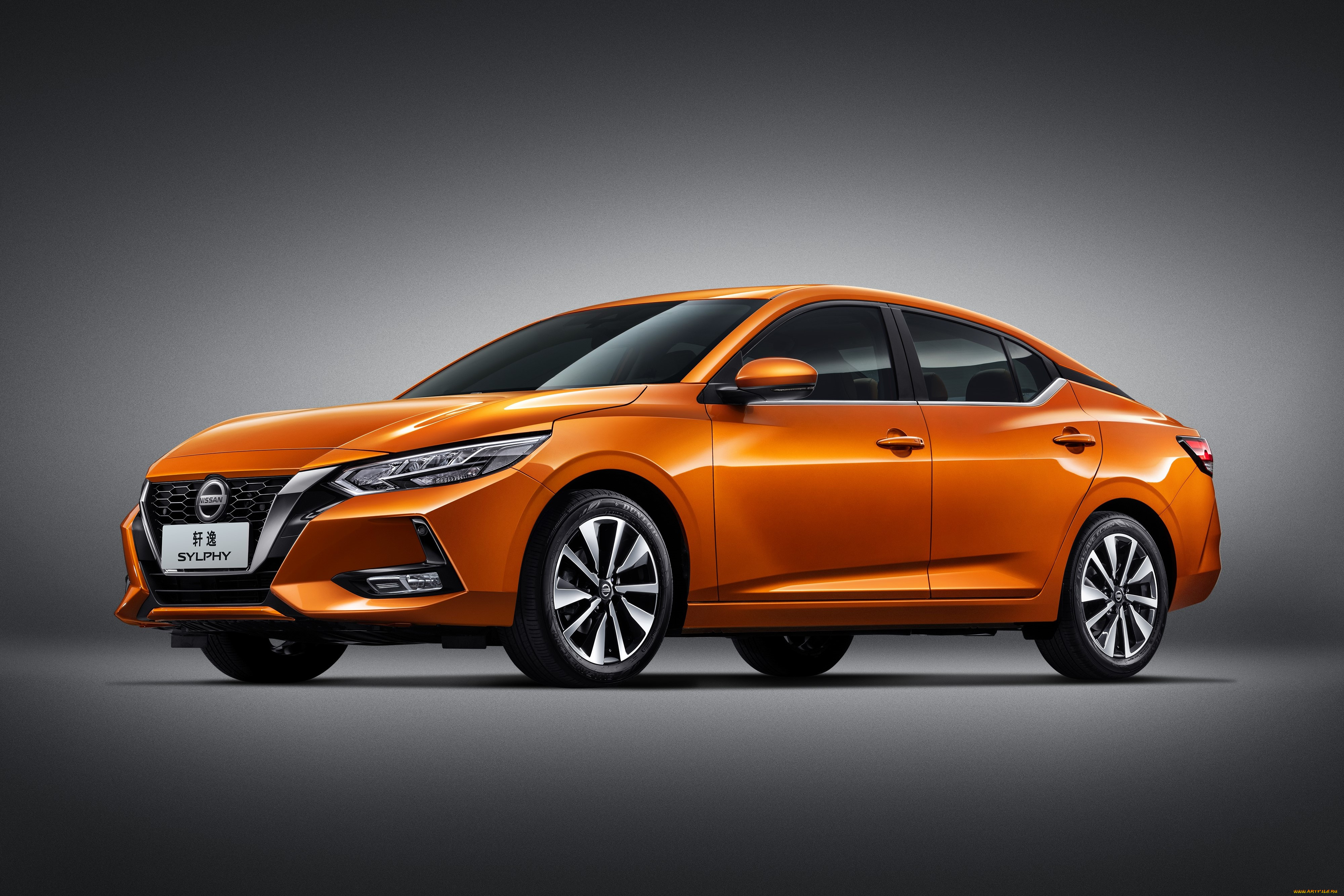 автомобили, nissan, datsun