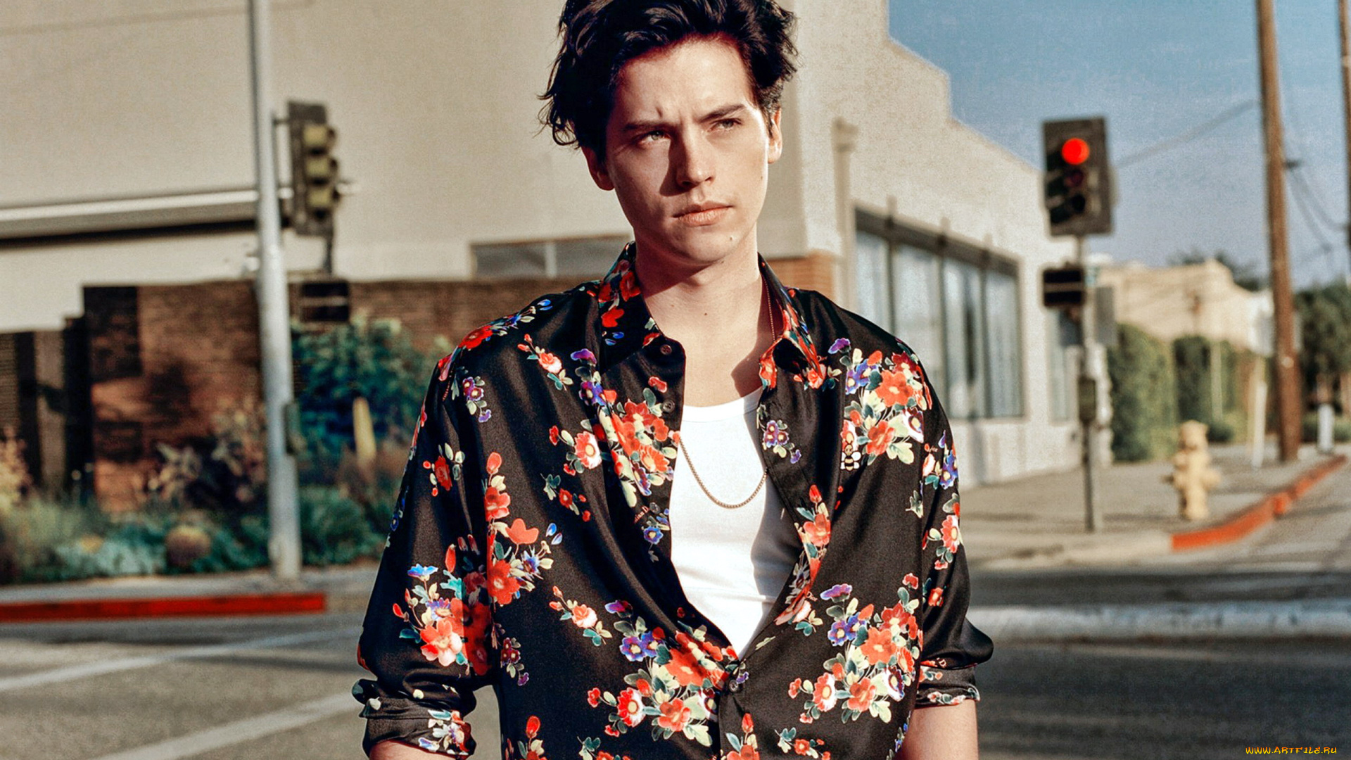 cole, sprouse, мужчины, cole, sprouse