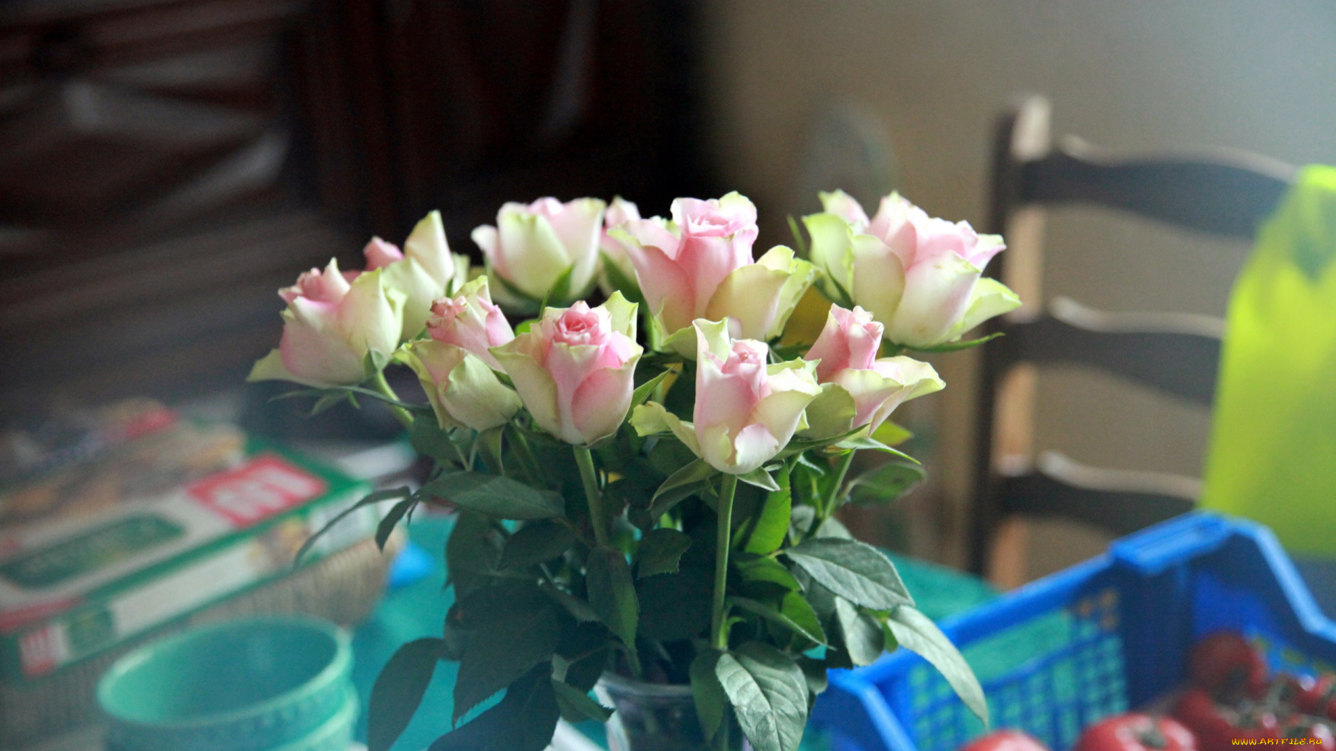 цветы, розы, бутоны