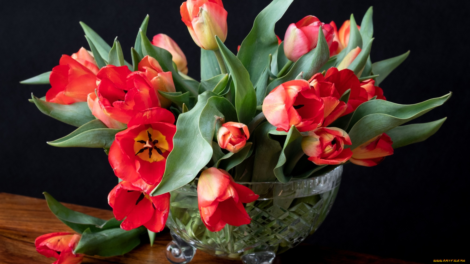 цветы, тюльпаны, бутоны, букет