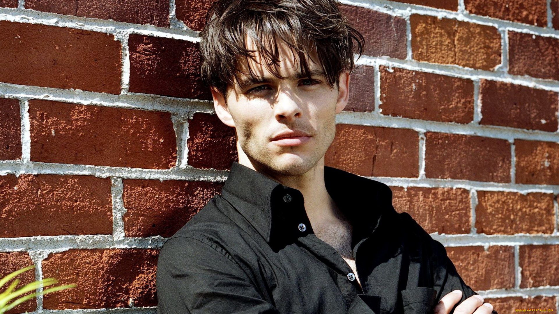 мужчины, james, marsden, взгляд