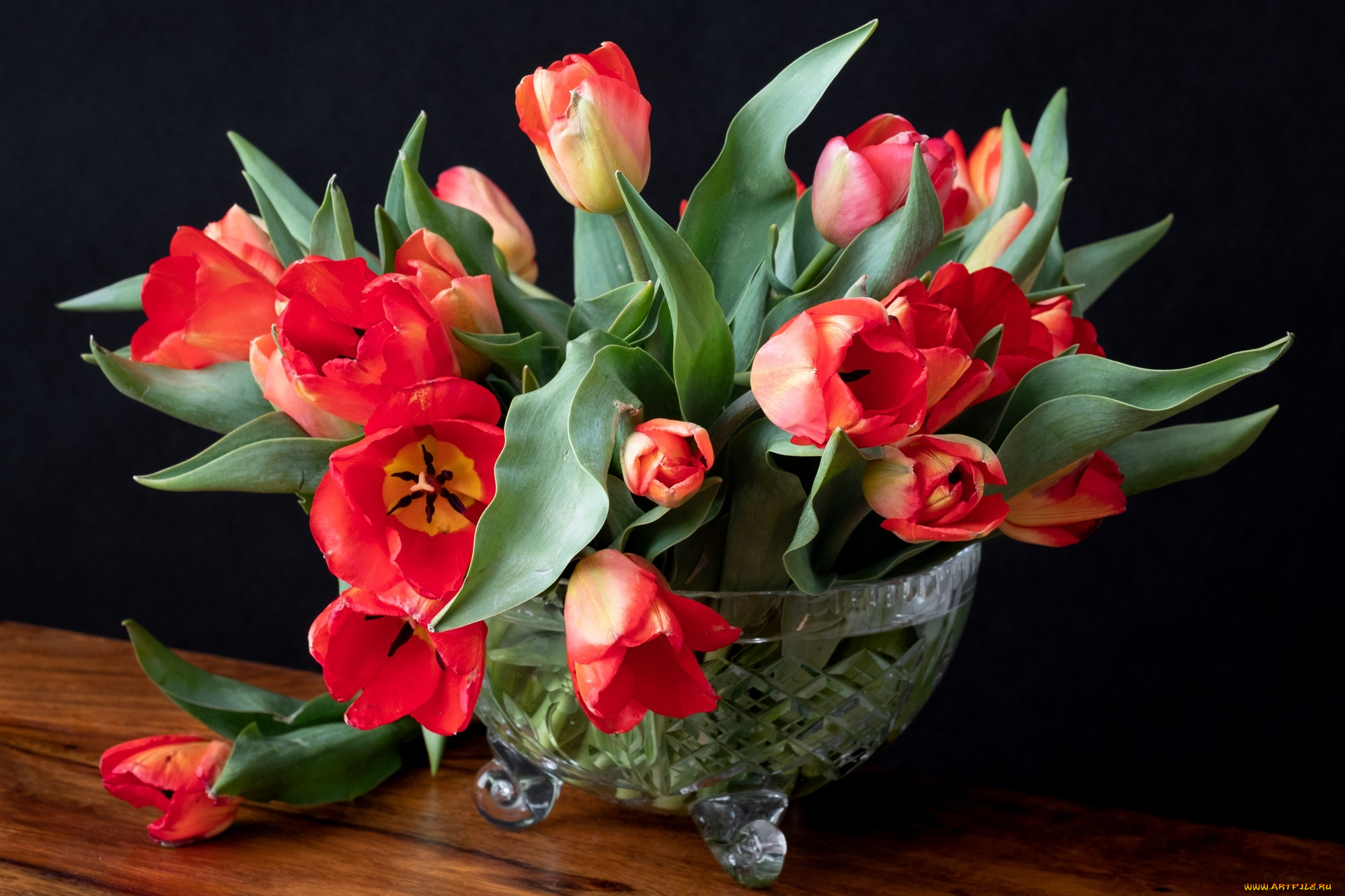 цветы, тюльпаны, бутоны, букет