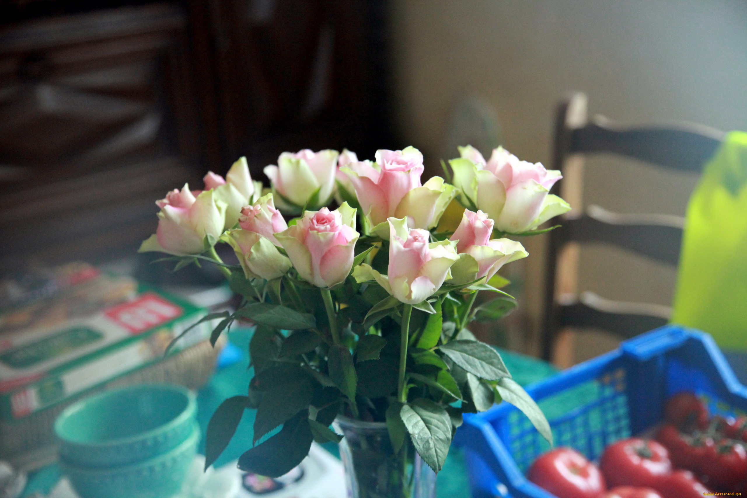 цветы, розы, бутоны