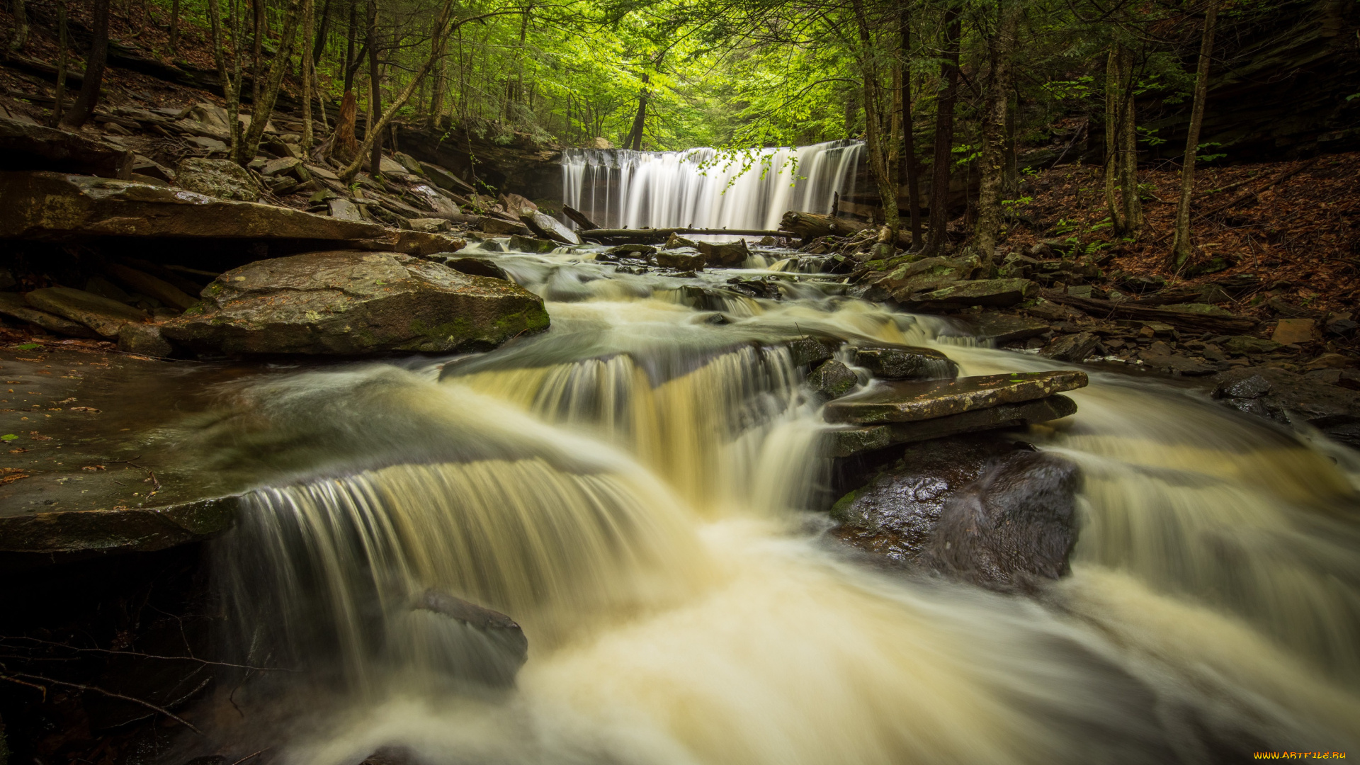 природа, водопады, лес, река, пенсильвания, каскад, pennsylvania, ricketts, glen, state, park, парк, штата, рикетс, глен, oneida, falls, онейда