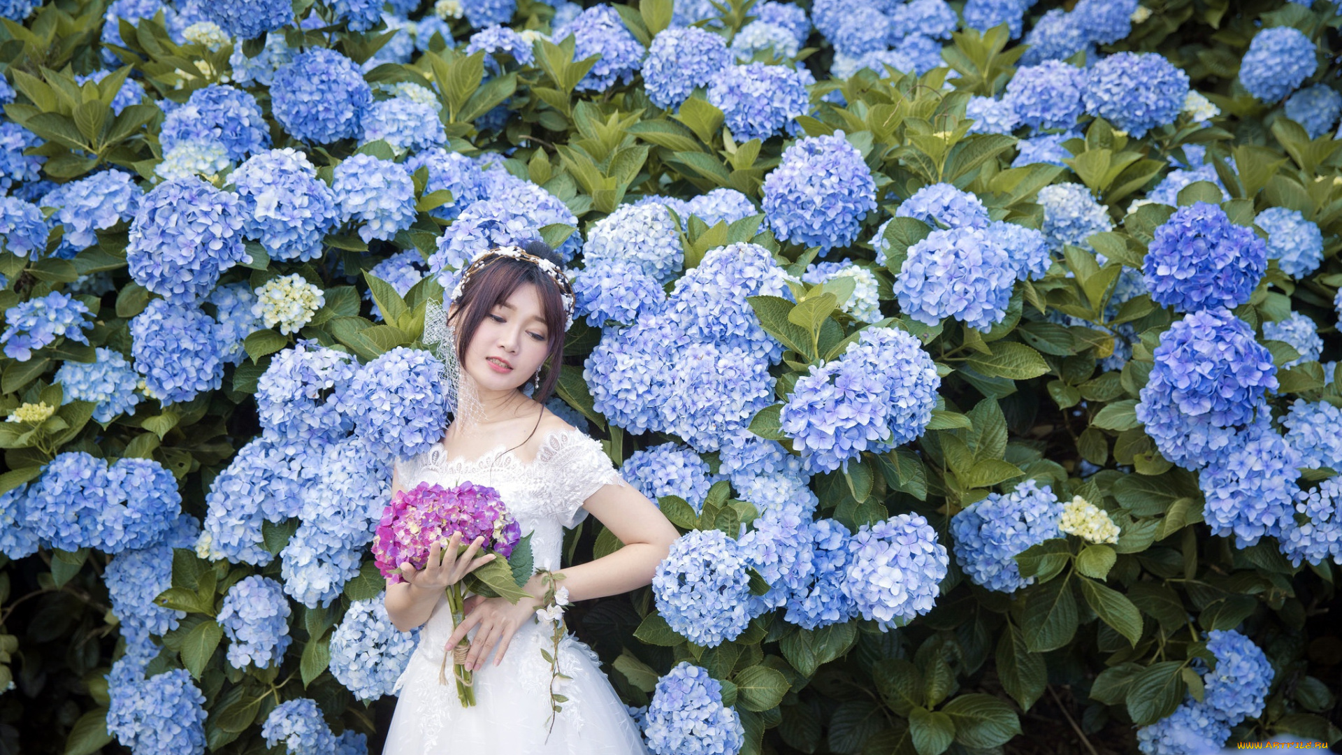 девушки, -, невесты, девушка, букет, гортензии