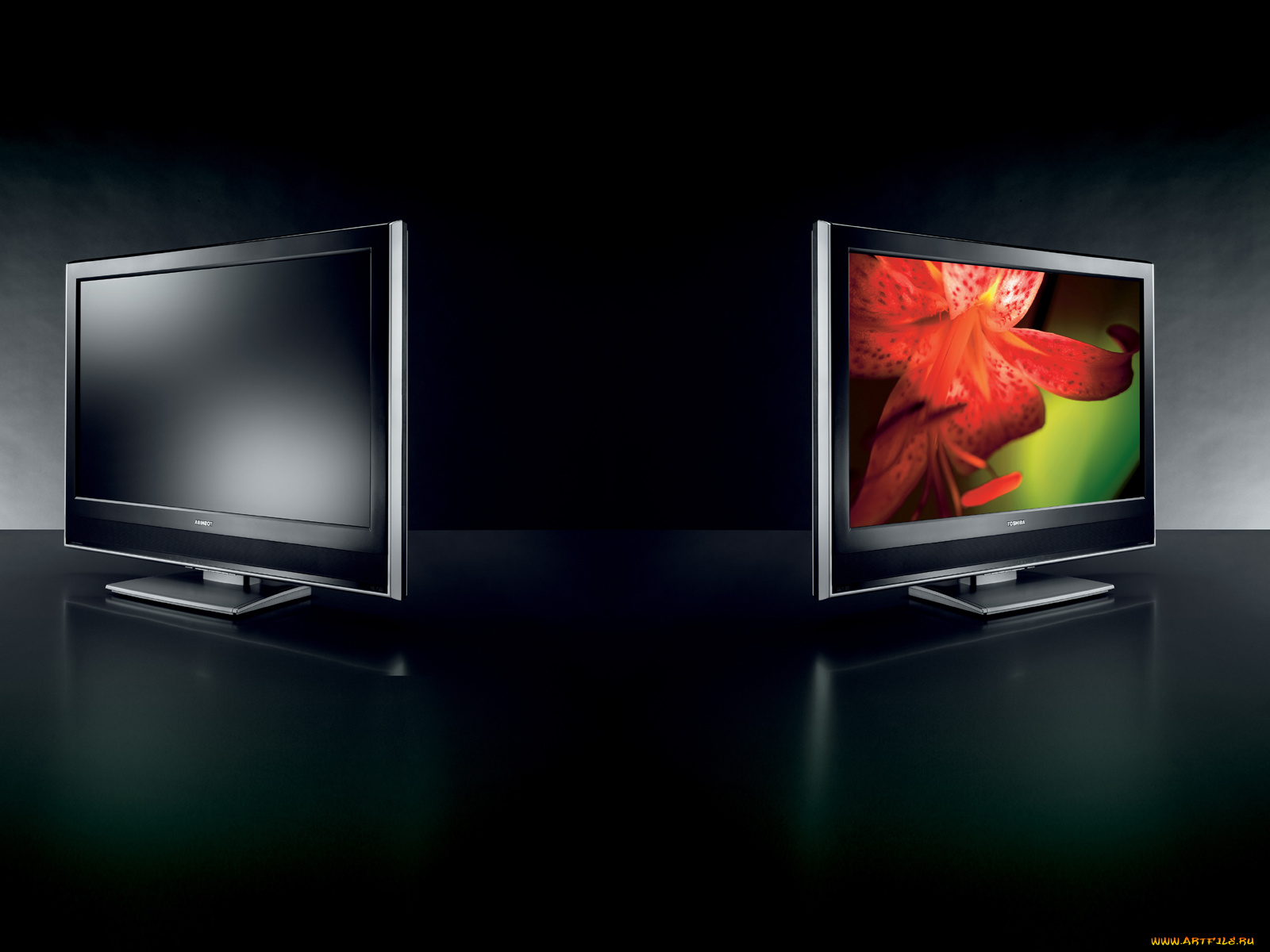 toshiba, бренды