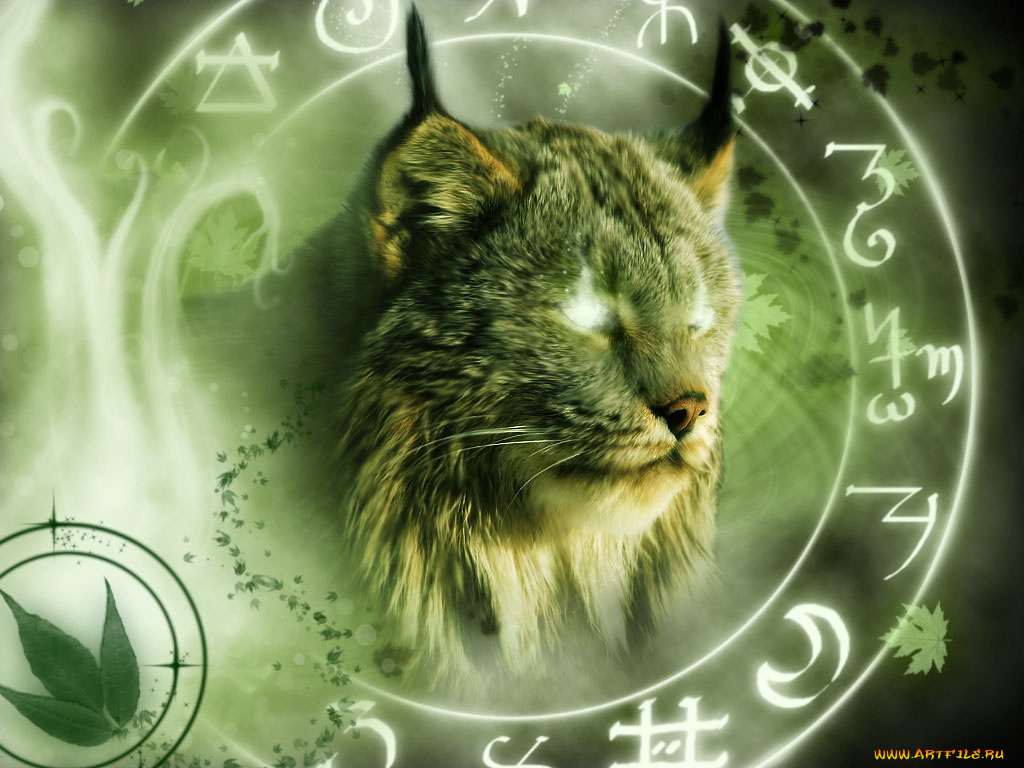 разное, компьютерный, дизайн