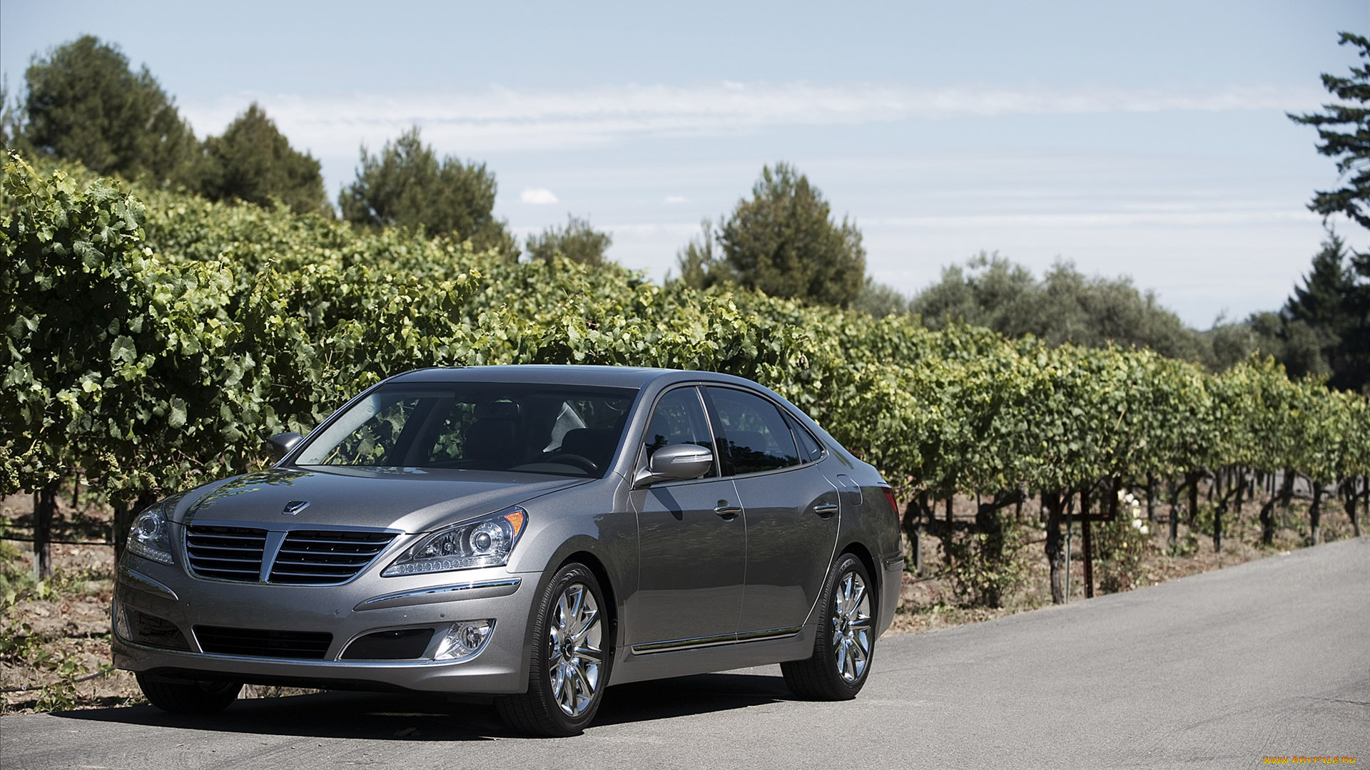 hyundai, eguus, 2012, автомобили, equus