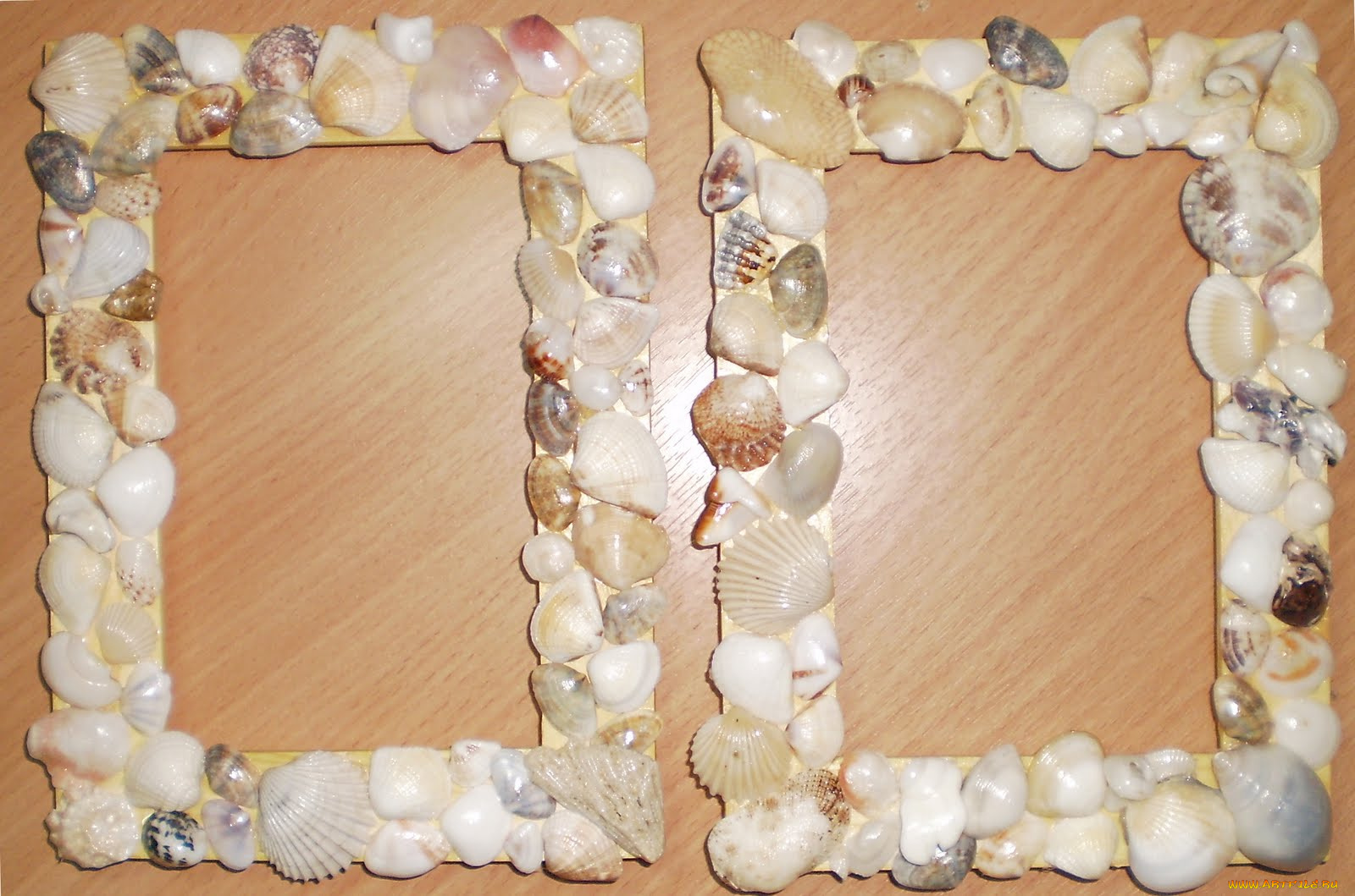 разное, ракушки, кораллы, декоративные, spa, камни