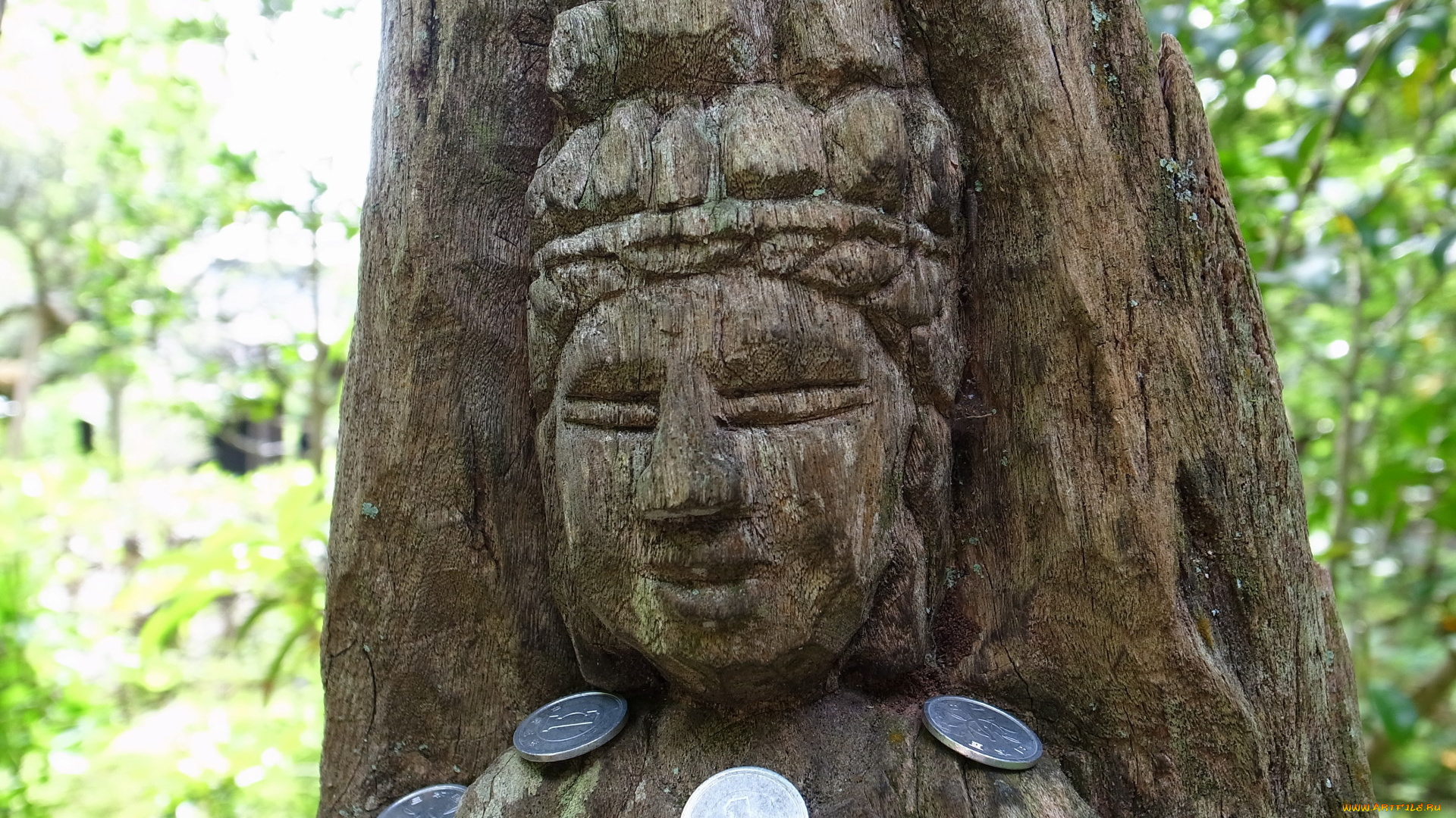 разное, рельефы, статуи, музейные, экспонаты, дерево