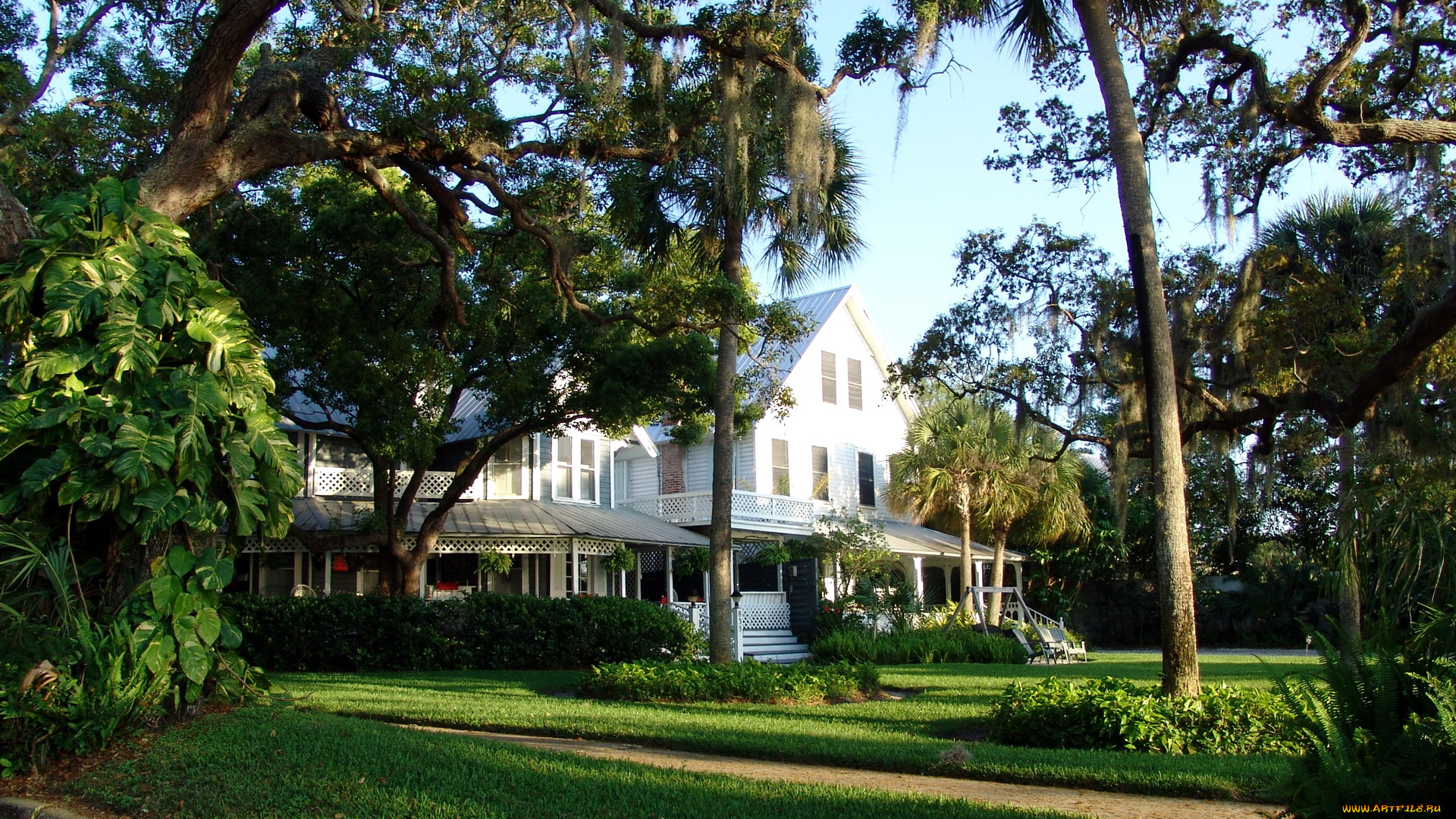 сша, флорида, данедин, города, здания, дома