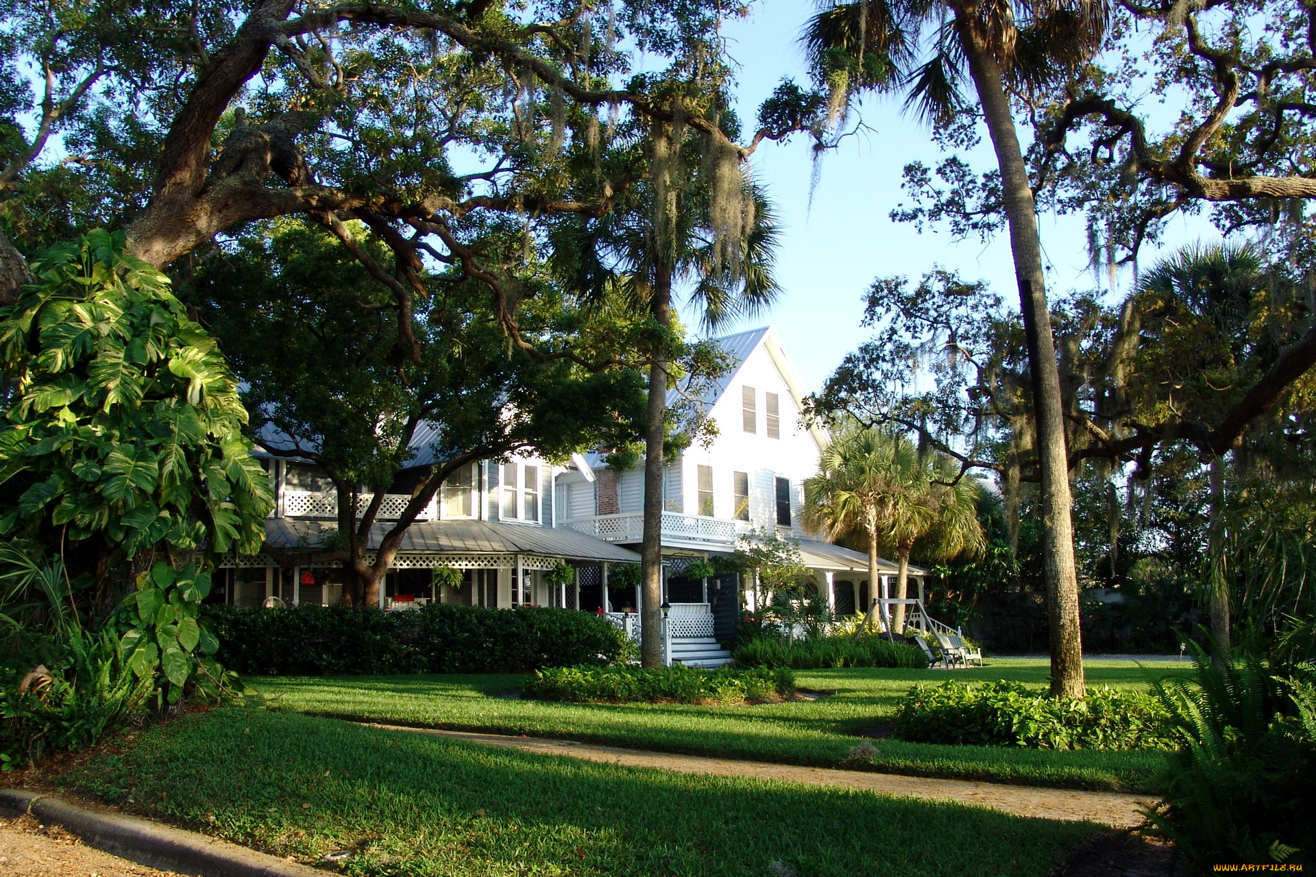 сша, флорида, данедин, города, здания, дома