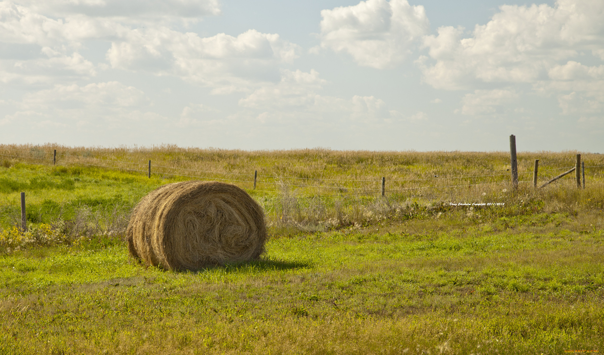 природа, поля, сено, поле