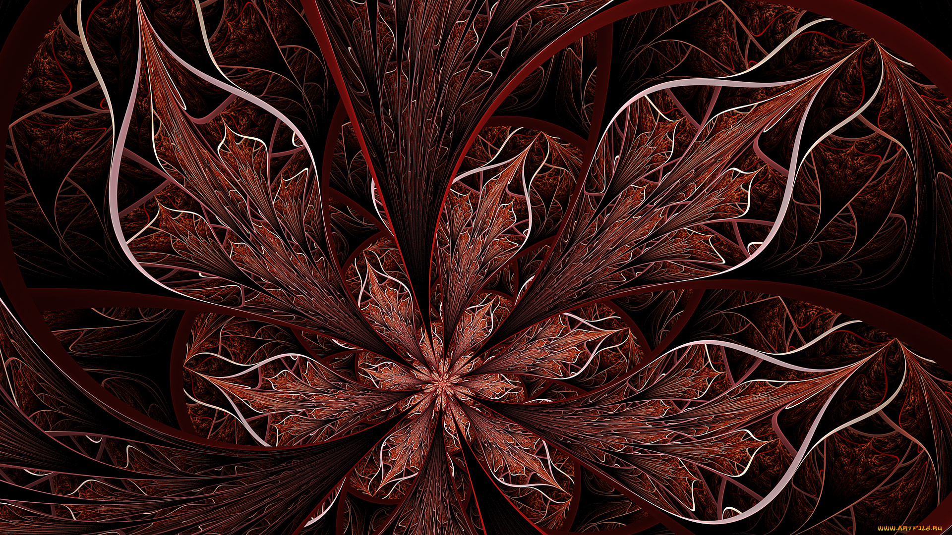 3д, графика, fractal, фракталы, цвета, фон, узор