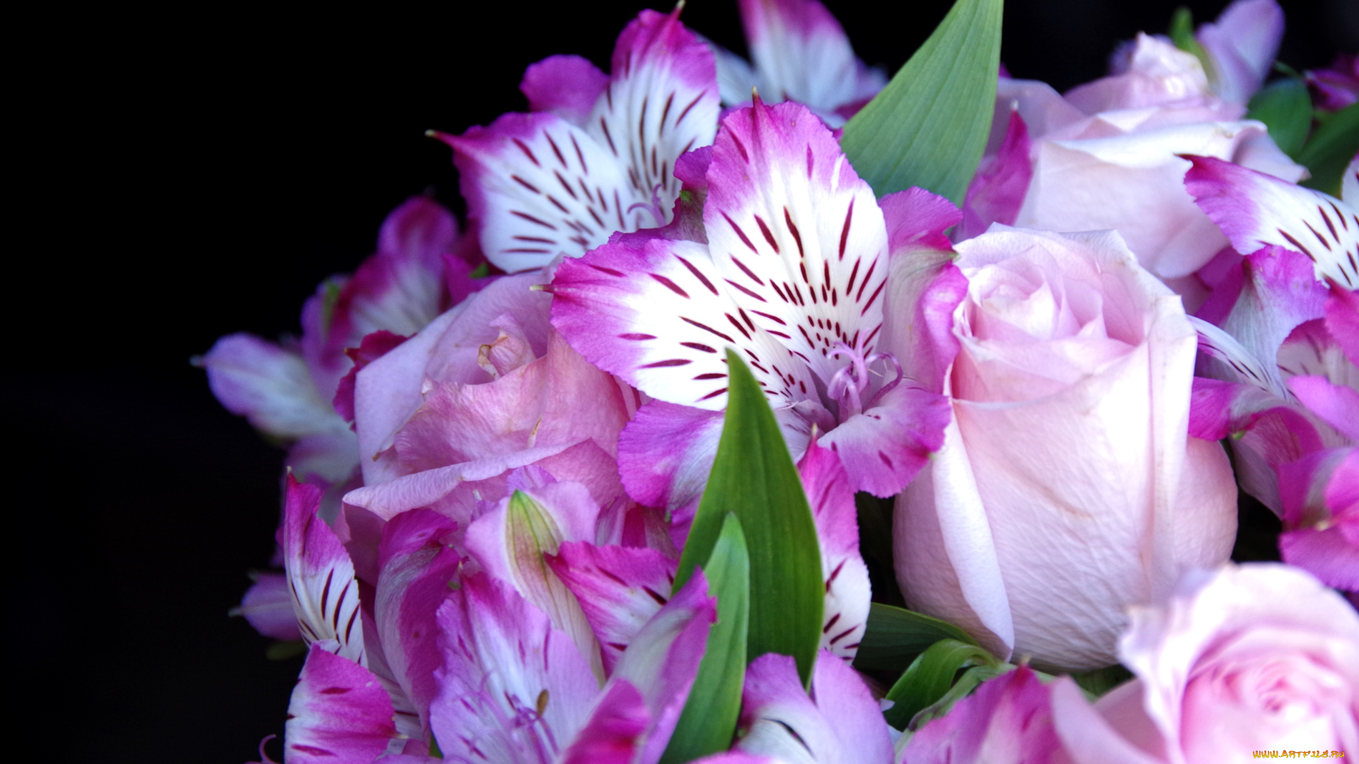 цветы, букеты, композиции, альстромерия, розы