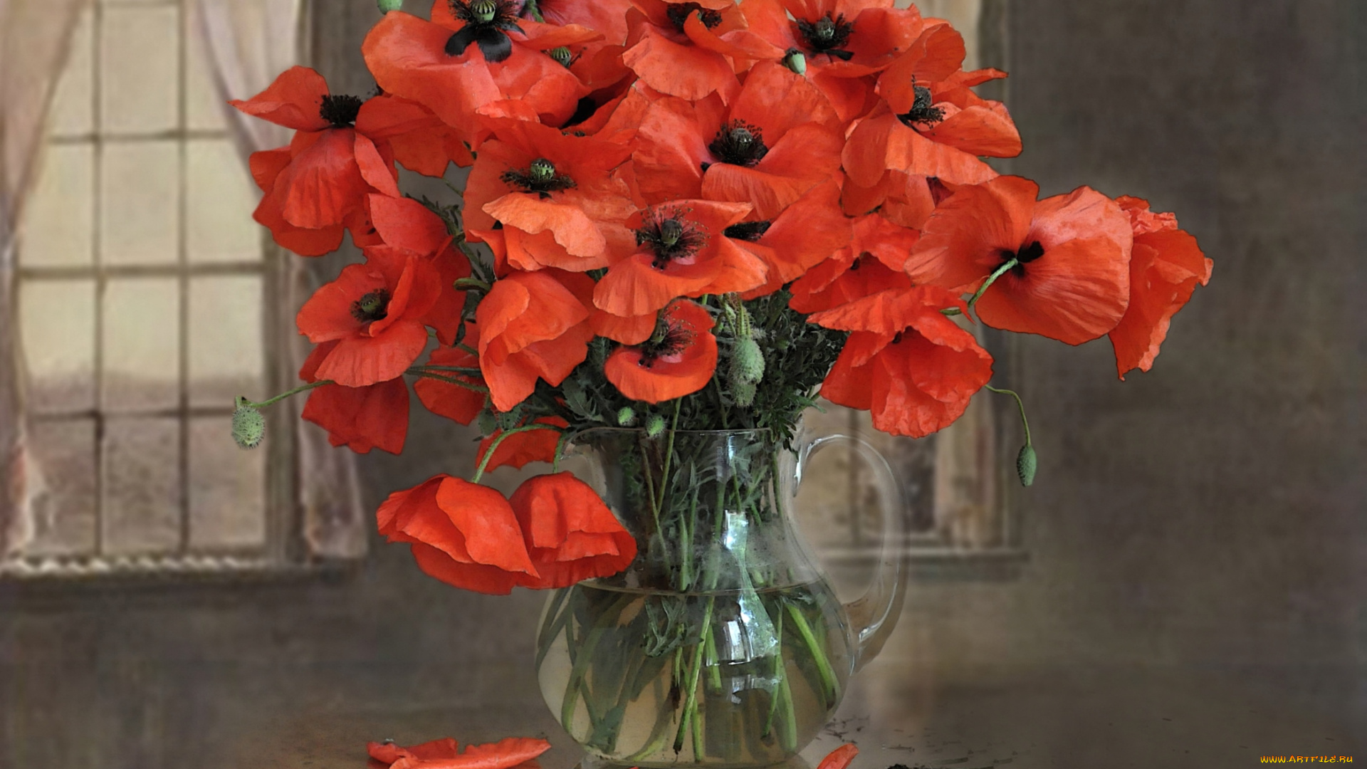 цветы, маки, букет