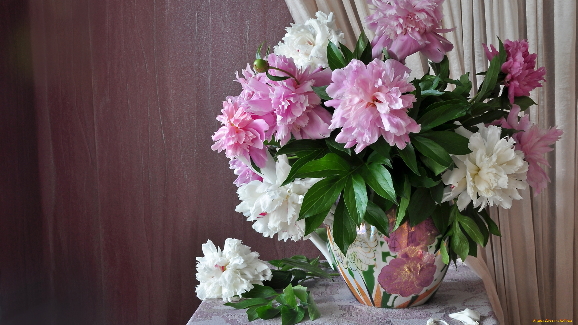 цветы, пионы, букет