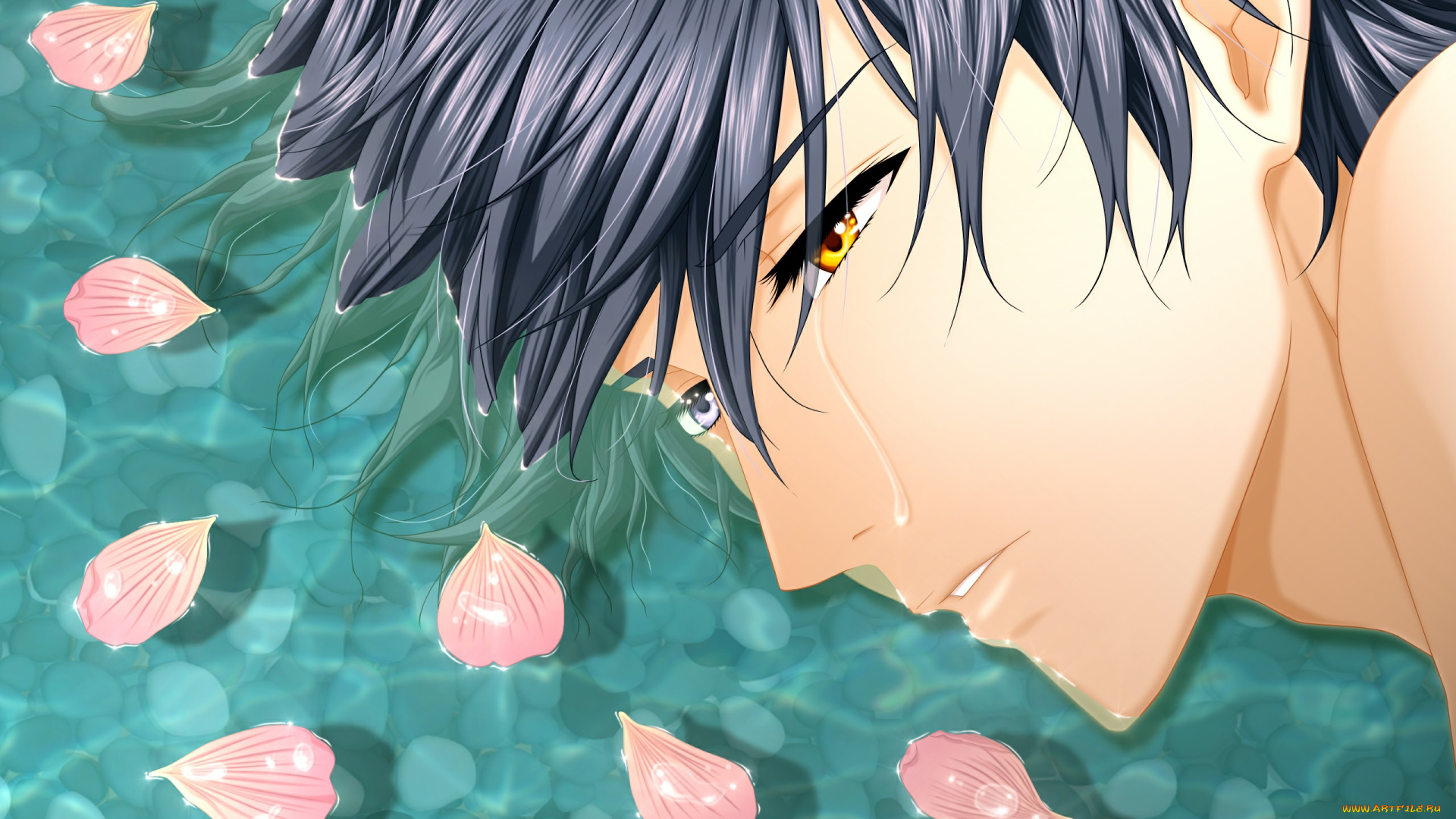 hakkenden, аниме, *unknown, другое, лепестки, парень, слёзы